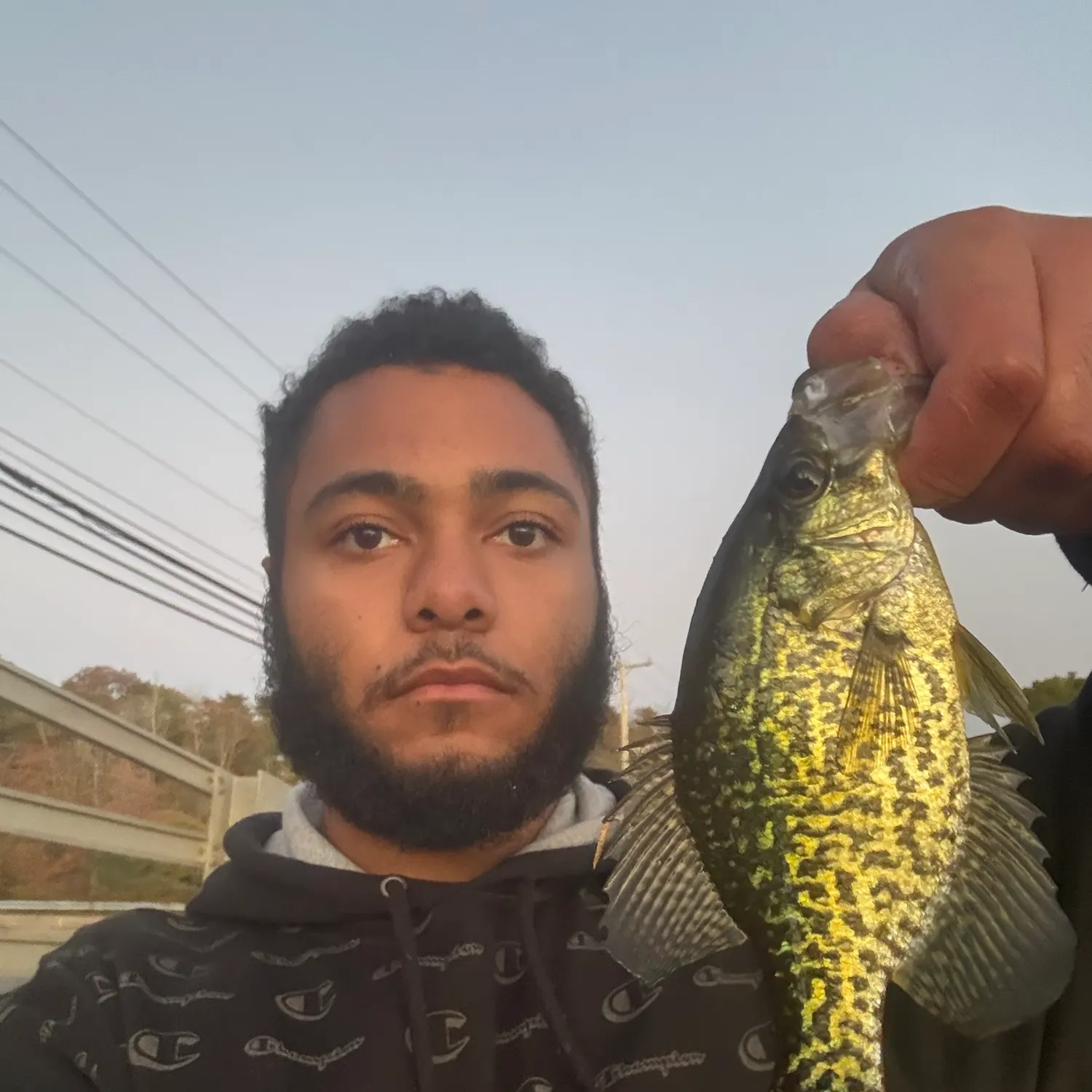 Black crappie caught on Fishbrain