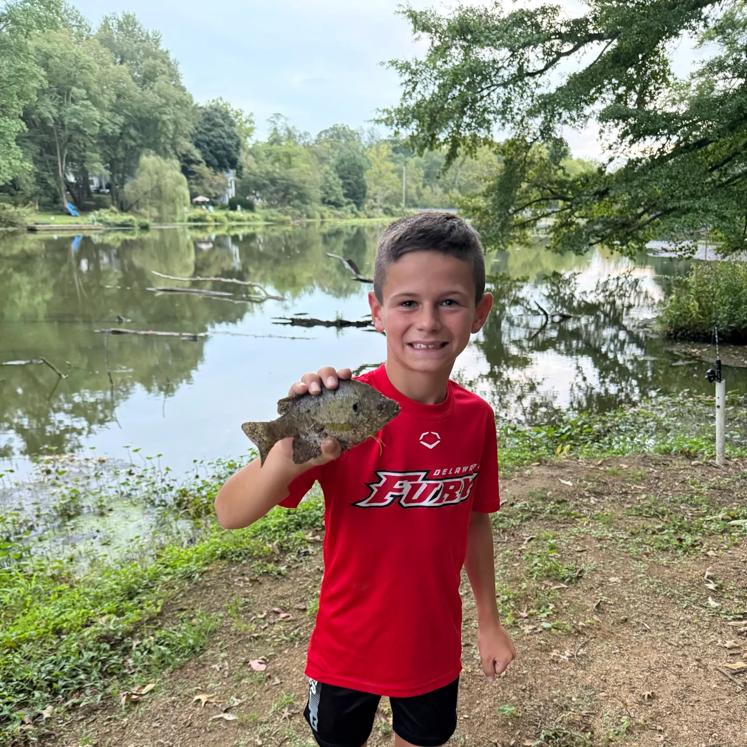Bluegill caught on Fishbrain