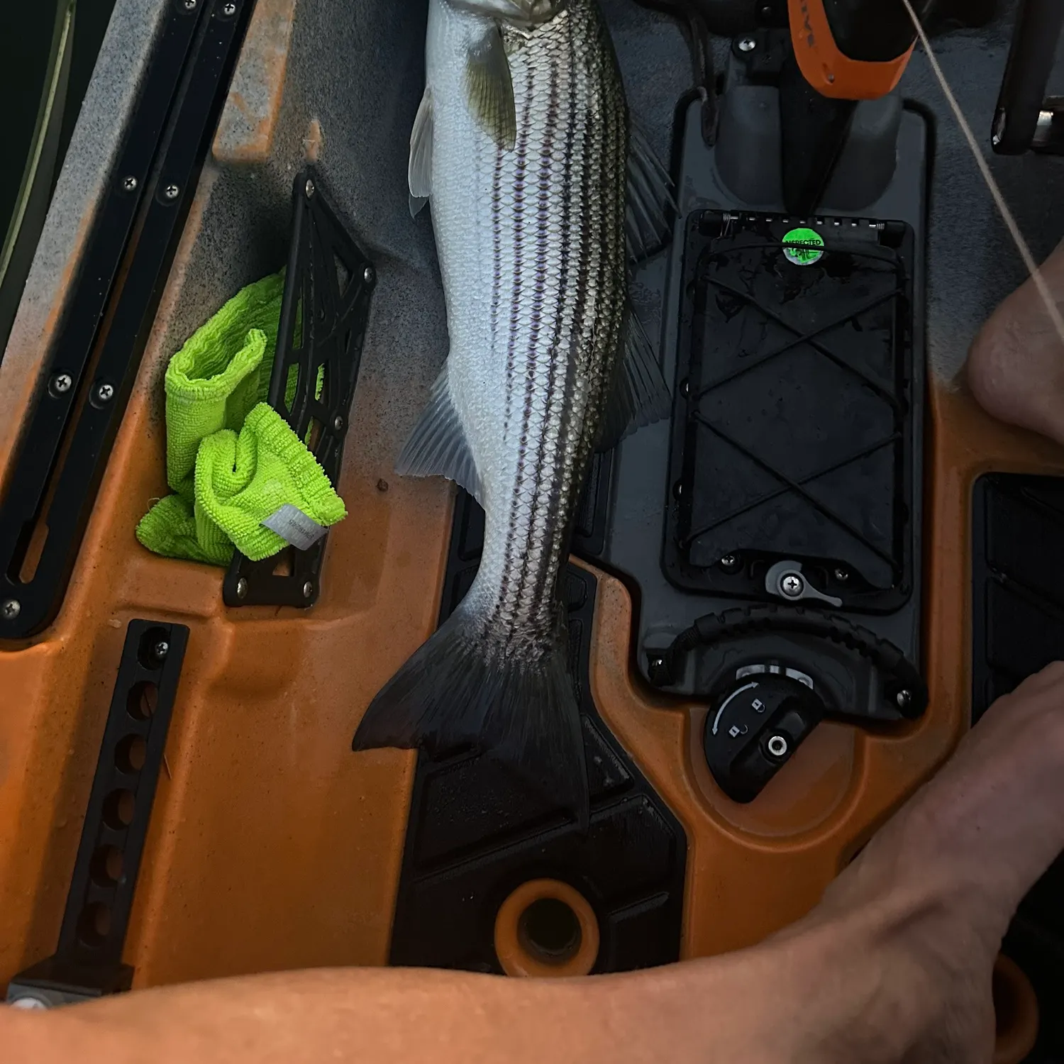 recently logged catches