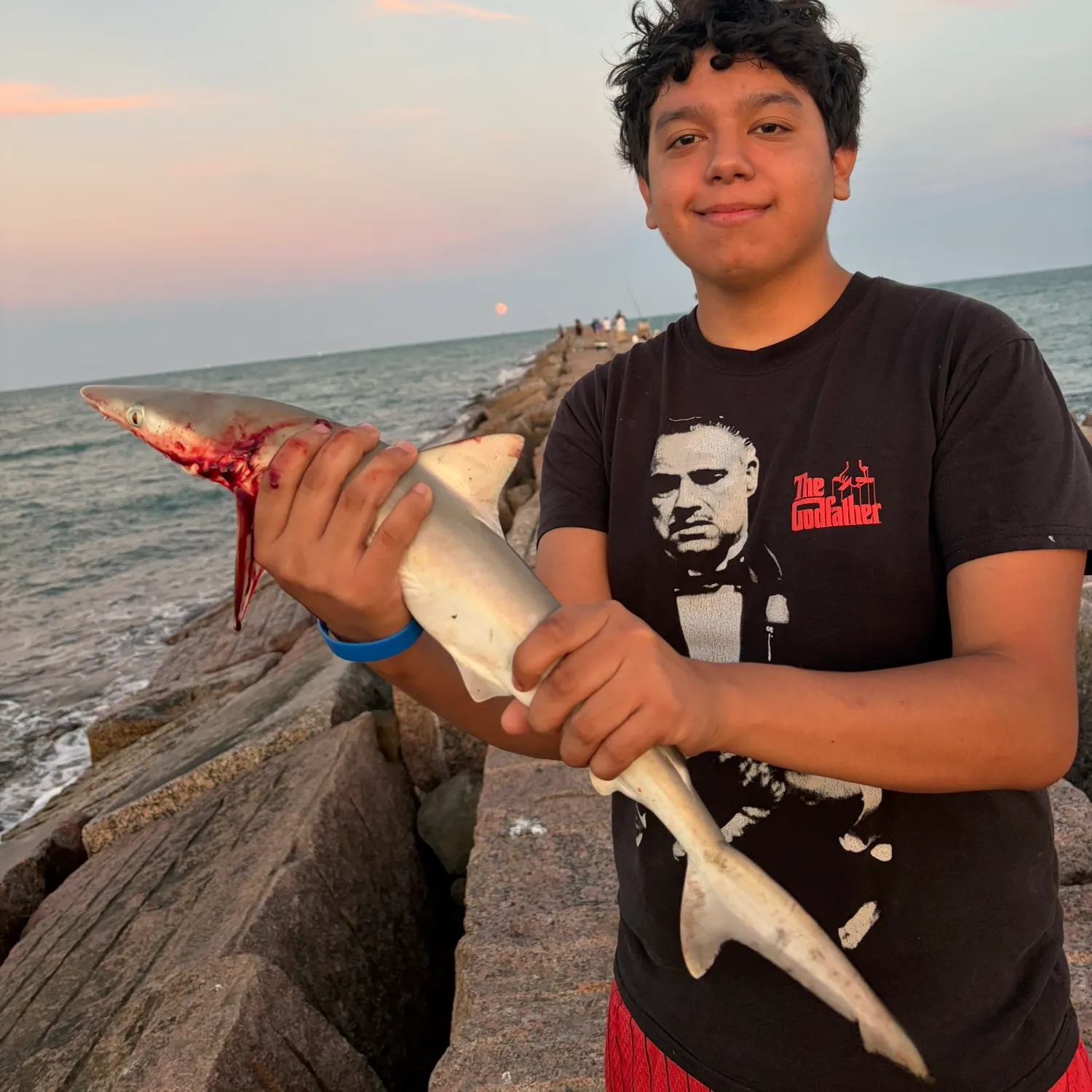 Atlantic sharpnose shark caught on Fishbrain