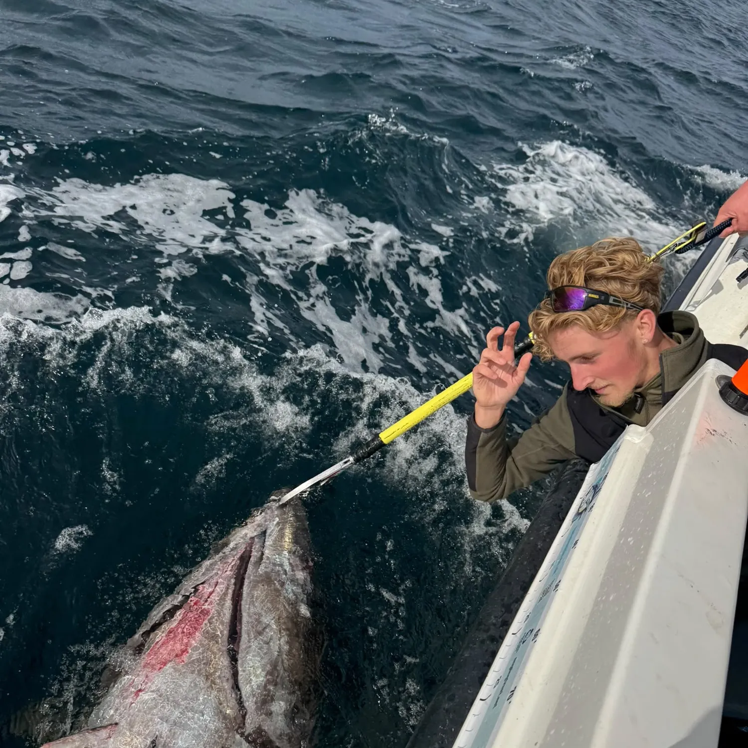 Atlantic bluefin tuna caught on Fishbrain