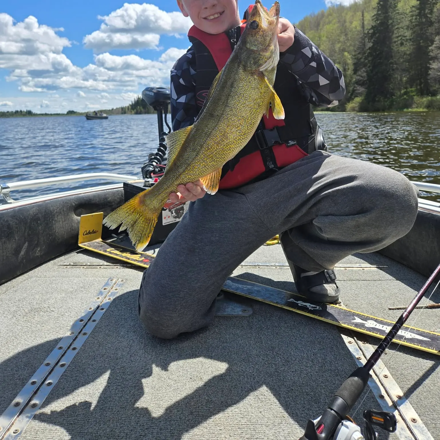 Walleye caught on Fishbrain
