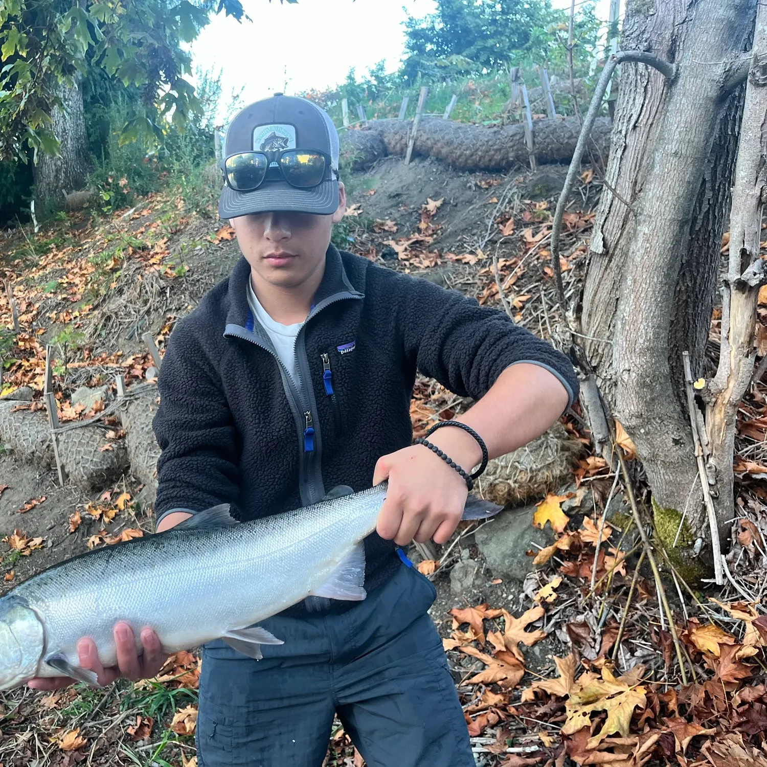 Coho salmon caught on Fishbrain