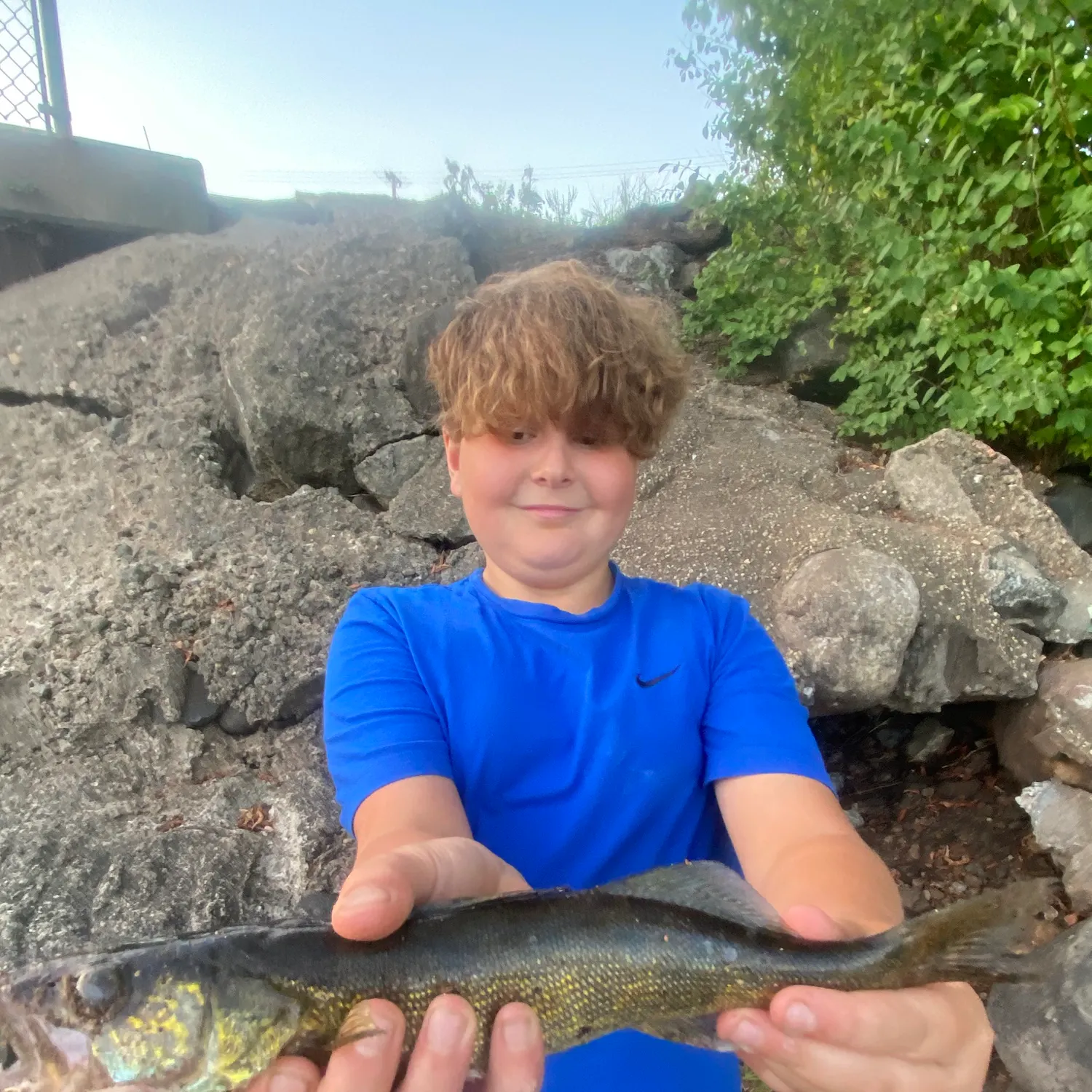 Walleye caught on Fishbrain