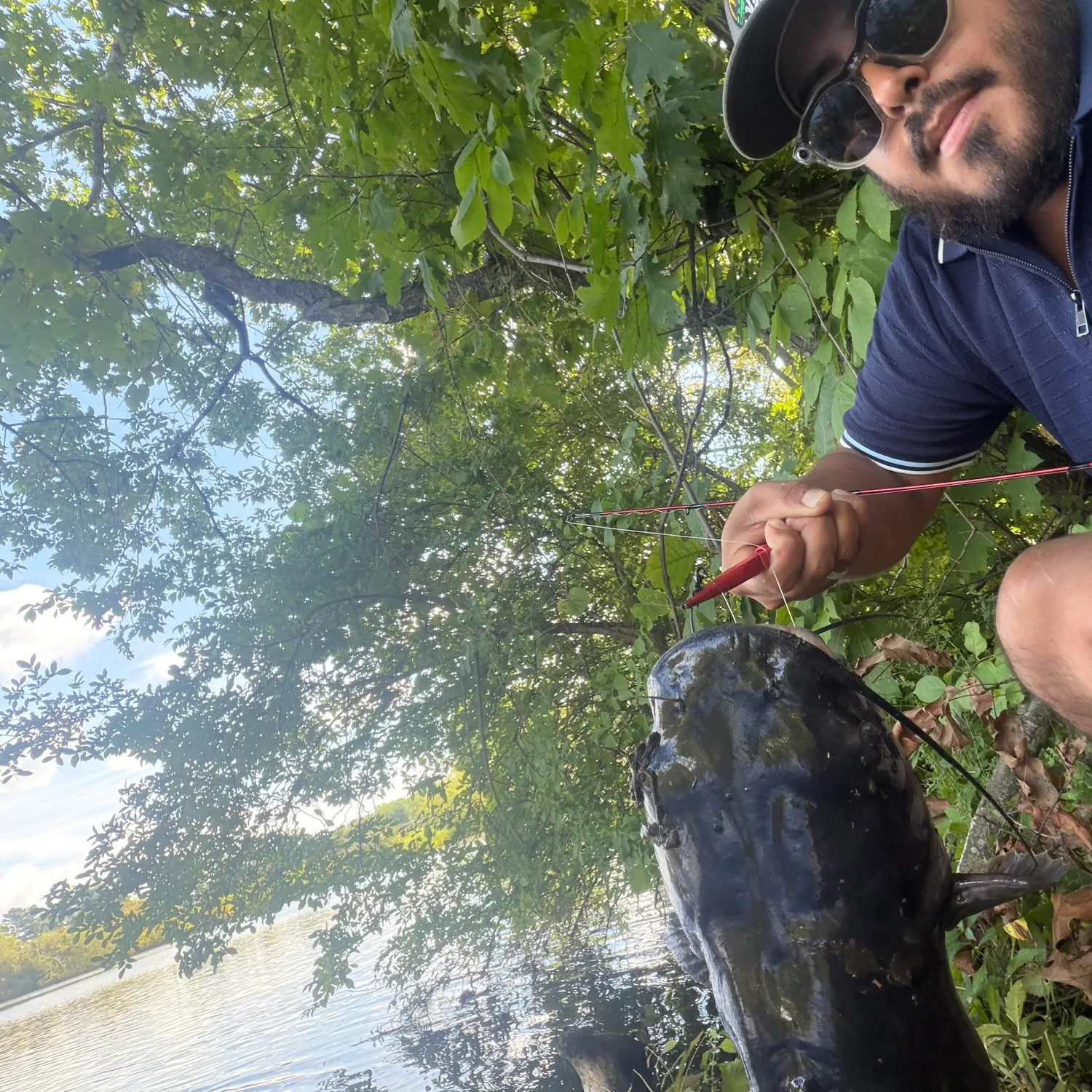 Channel catfish caught on Fishbrain