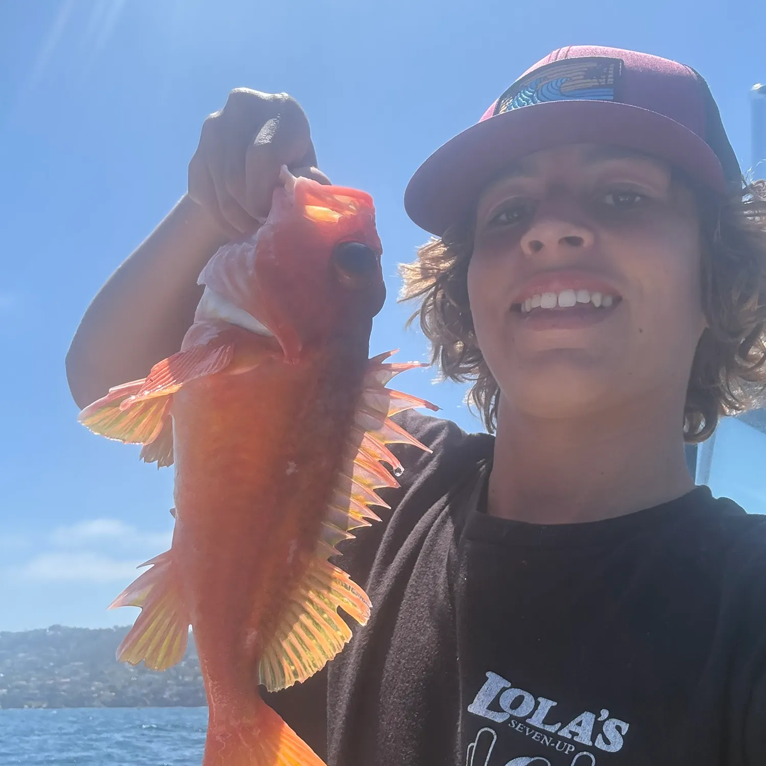 The most recent Honeycomb rockfish catches on Fishbrain