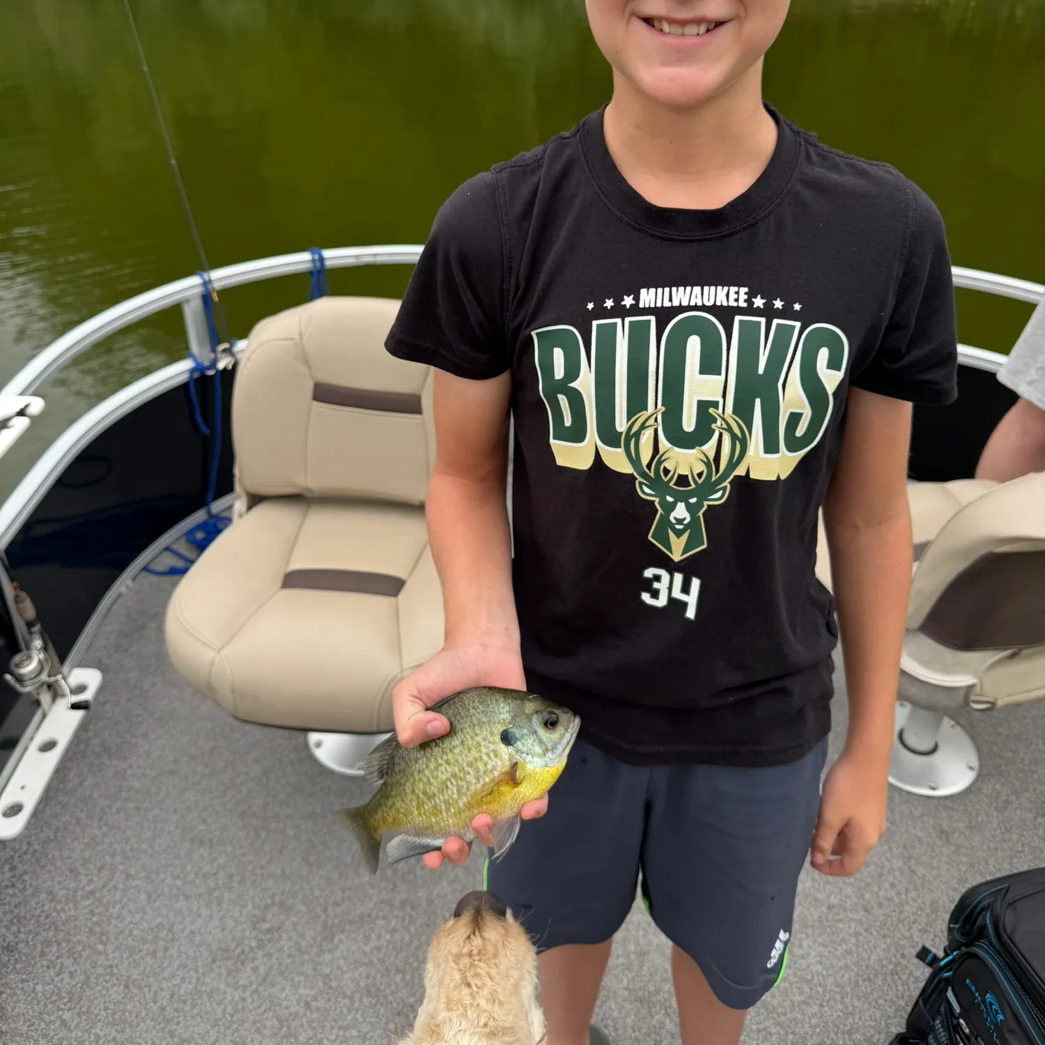 Bluegill caught on Fishbrain