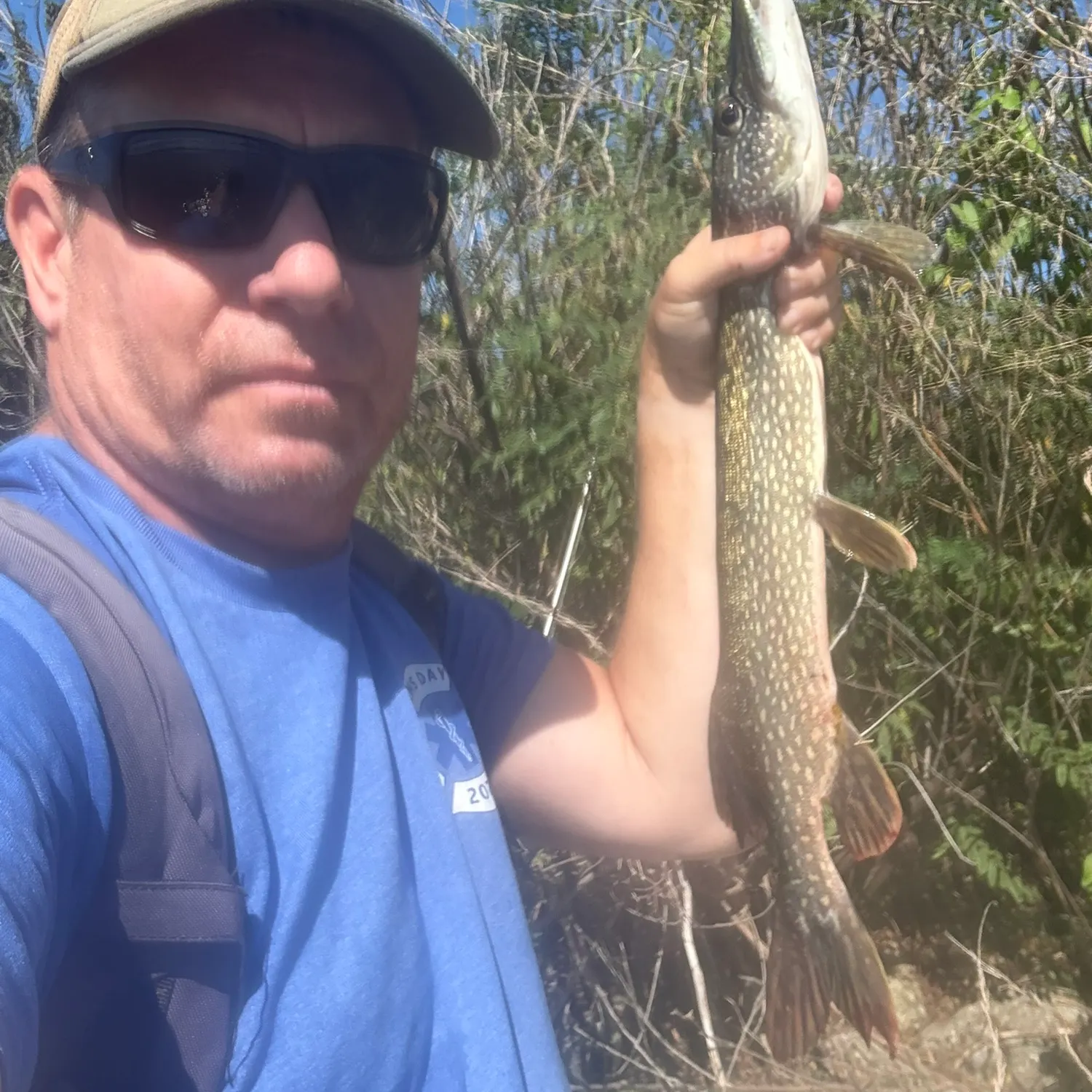 Northern pike caught on Fishbrain
