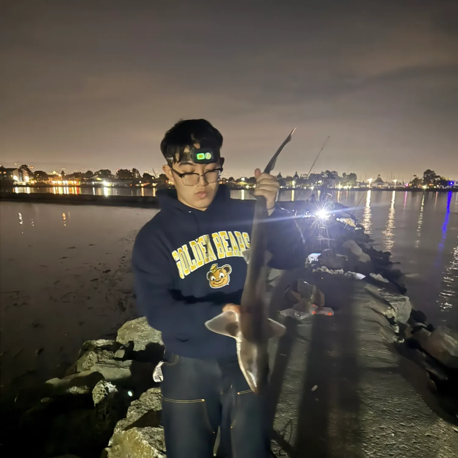 The most recent Brown smooth-hound catches on Fishbrain