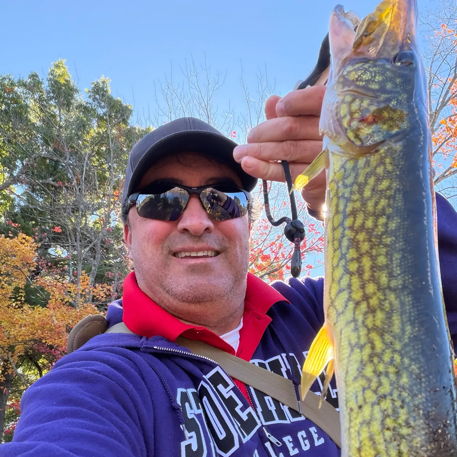 Chain pickerel caught on Fishbrain