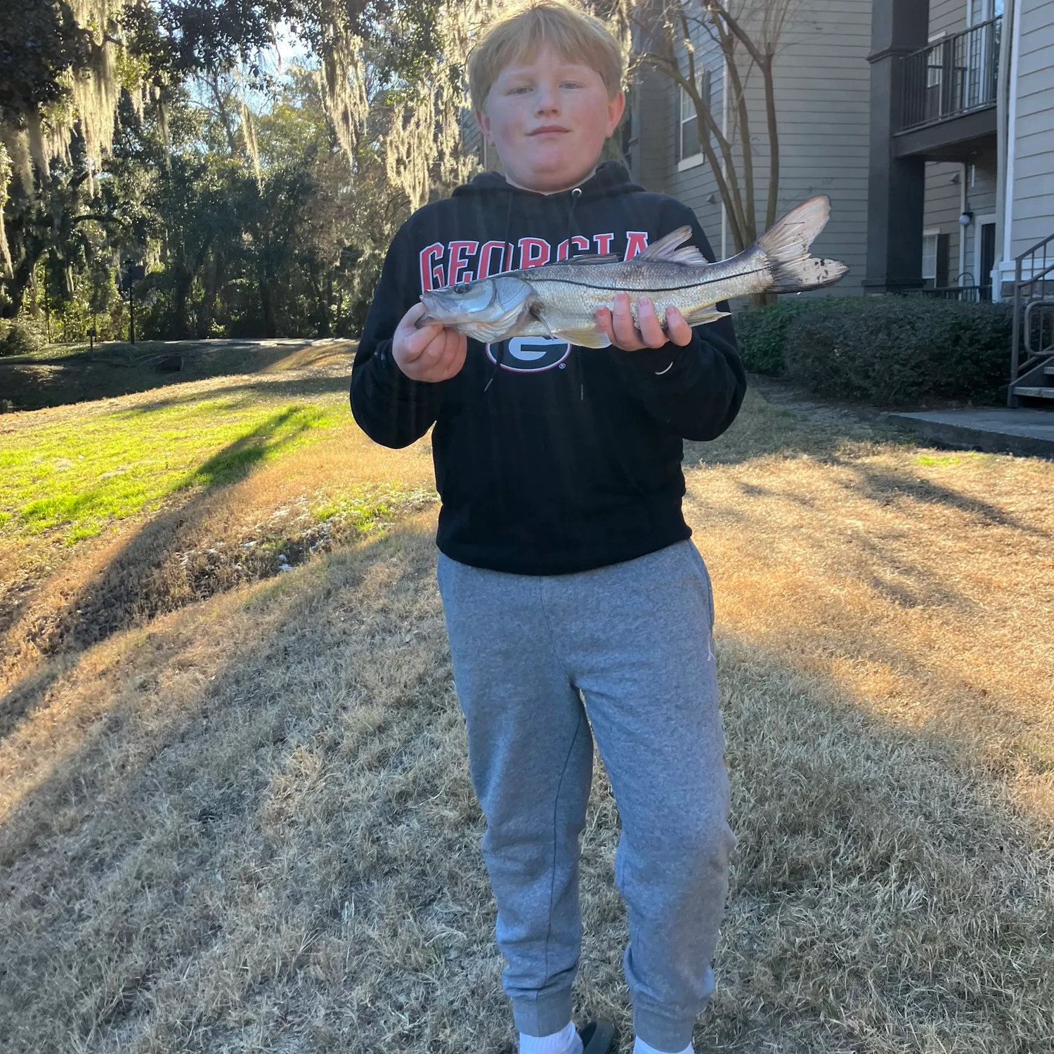 The most recent Common snook catches on Fishbrain