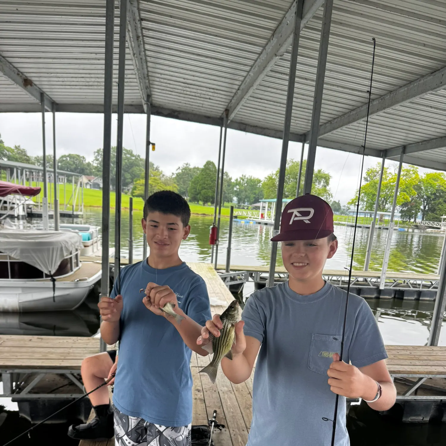 The most recent Yellow bass catches on Fishbrain