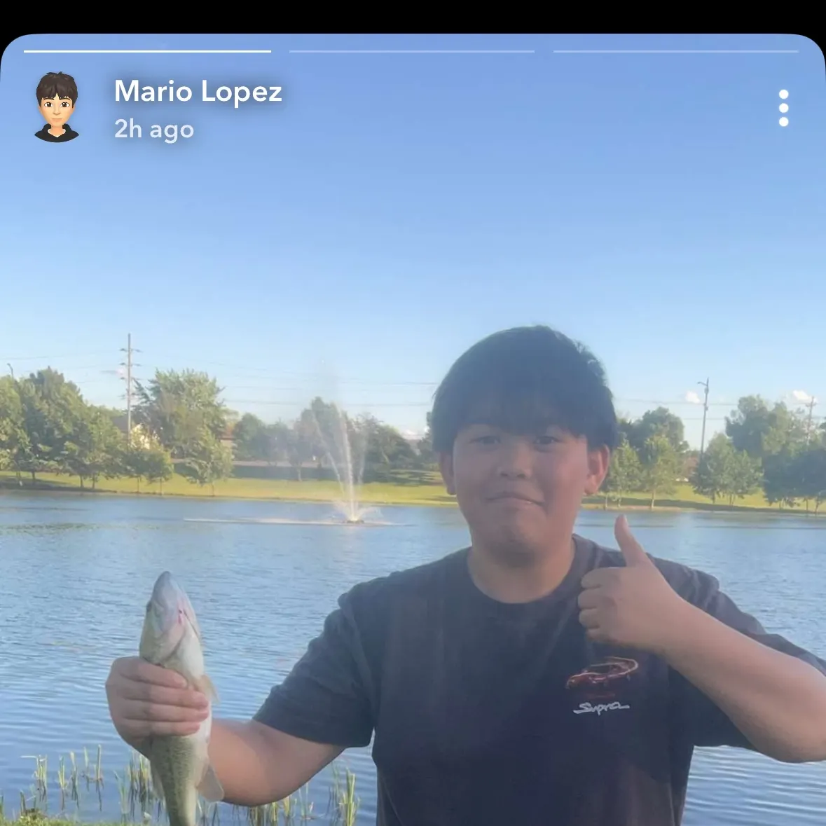 recently logged catches