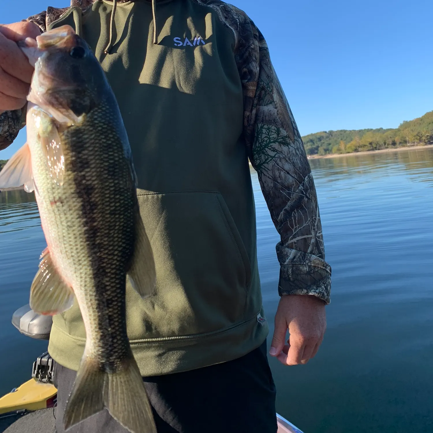 Spotted bass caught on Fishbrain