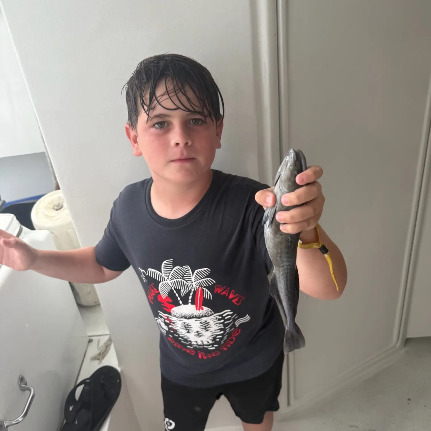 The most recent Marlin sucker catches on Fishbrain