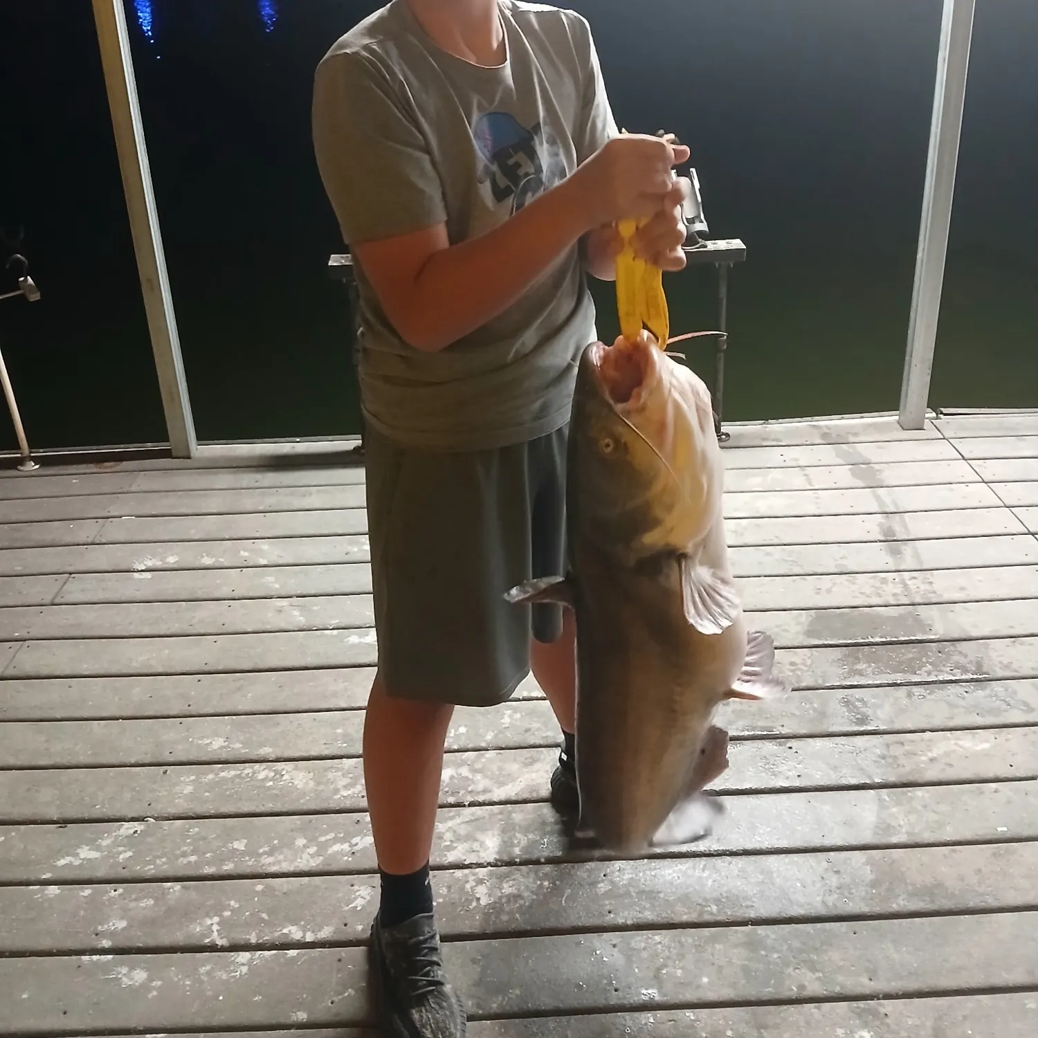 Blue catfish caught on Fishbrain