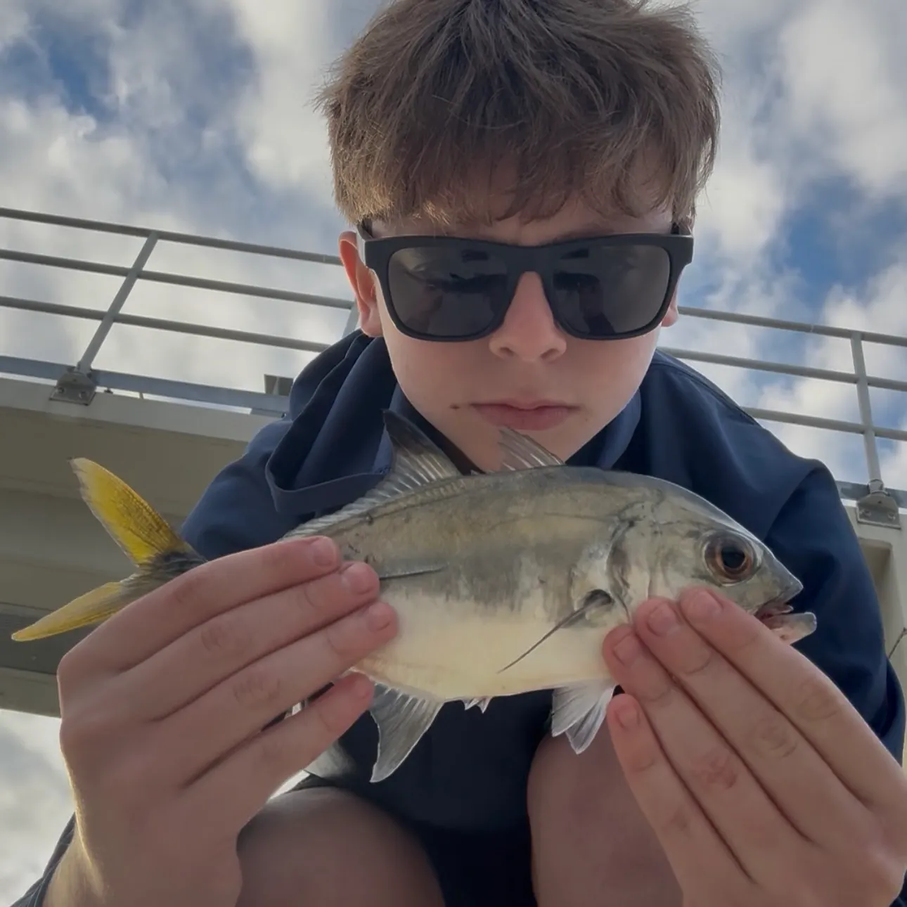The most recent Crevalle jack catches on Fishbrain