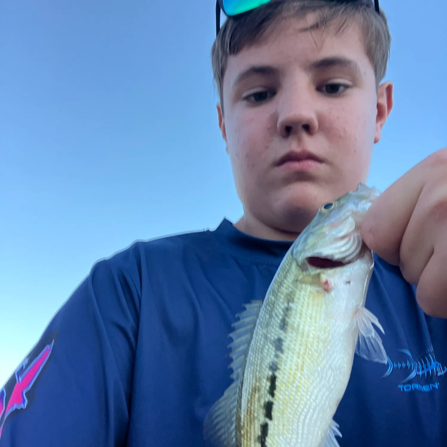 Spotted bass caught on Fishbrain