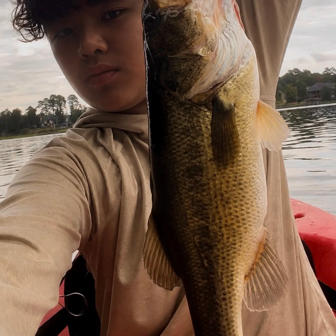 Largemouth bass caught on Fishbrain