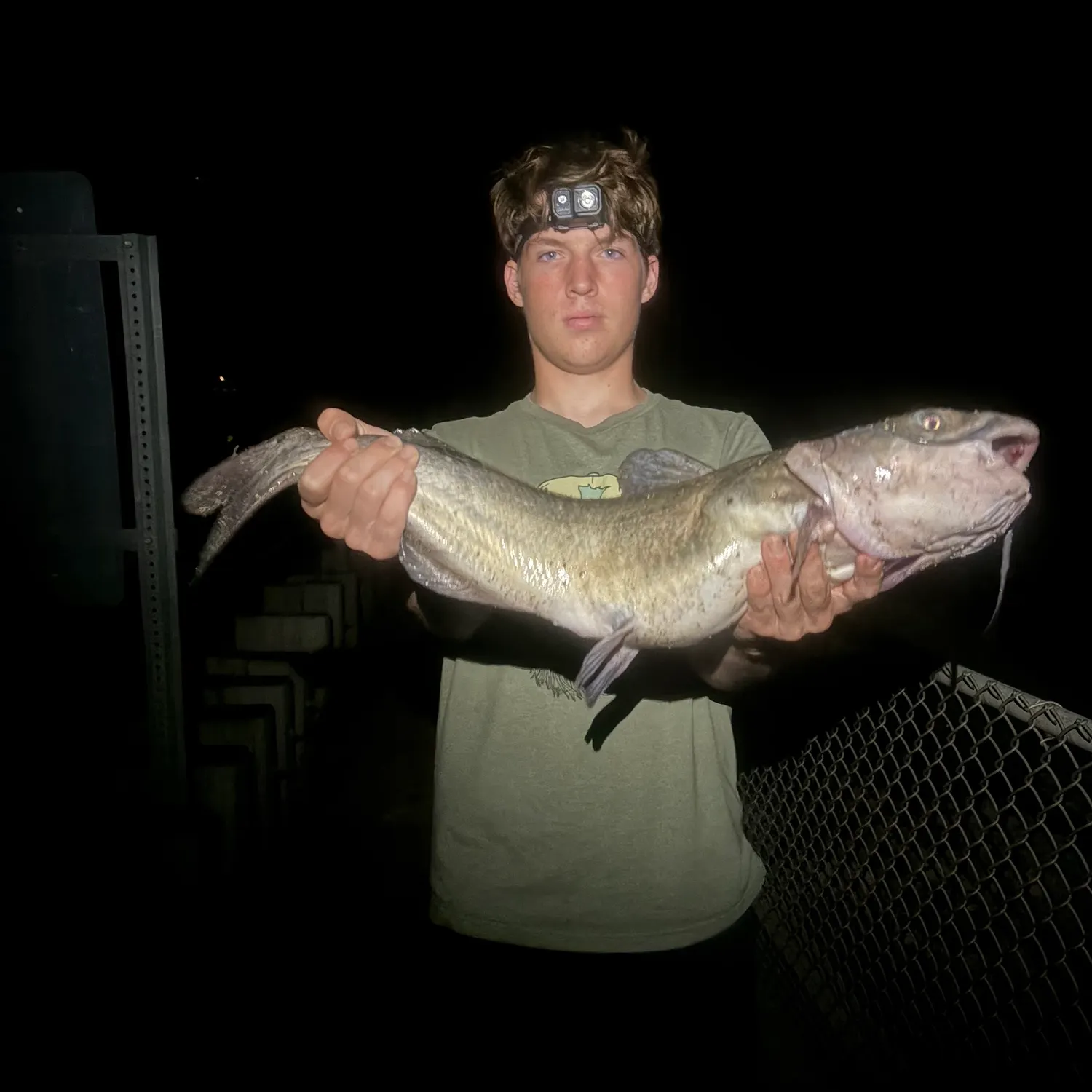 Channel catfish caught on Fishbrain