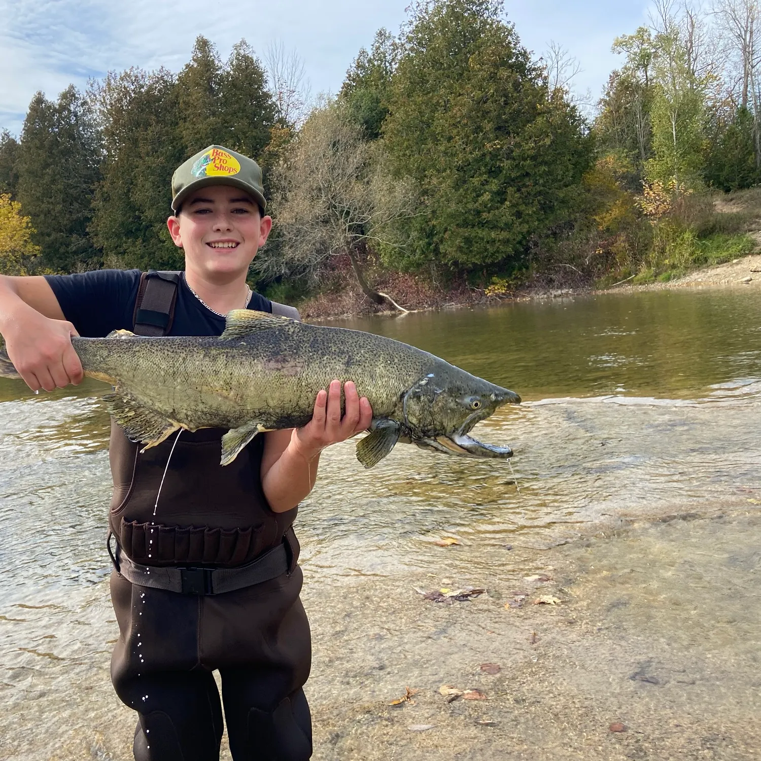 Chinook salmon caught on Fishbrain