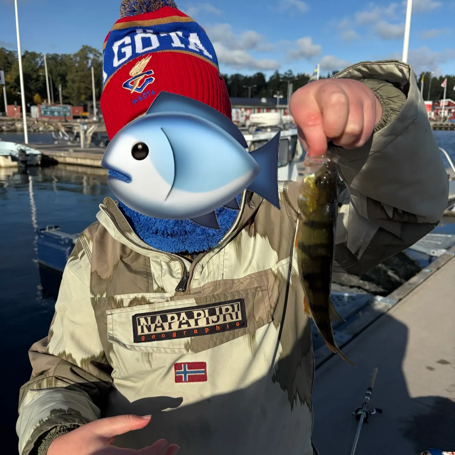 European perch caught on Fishbrain