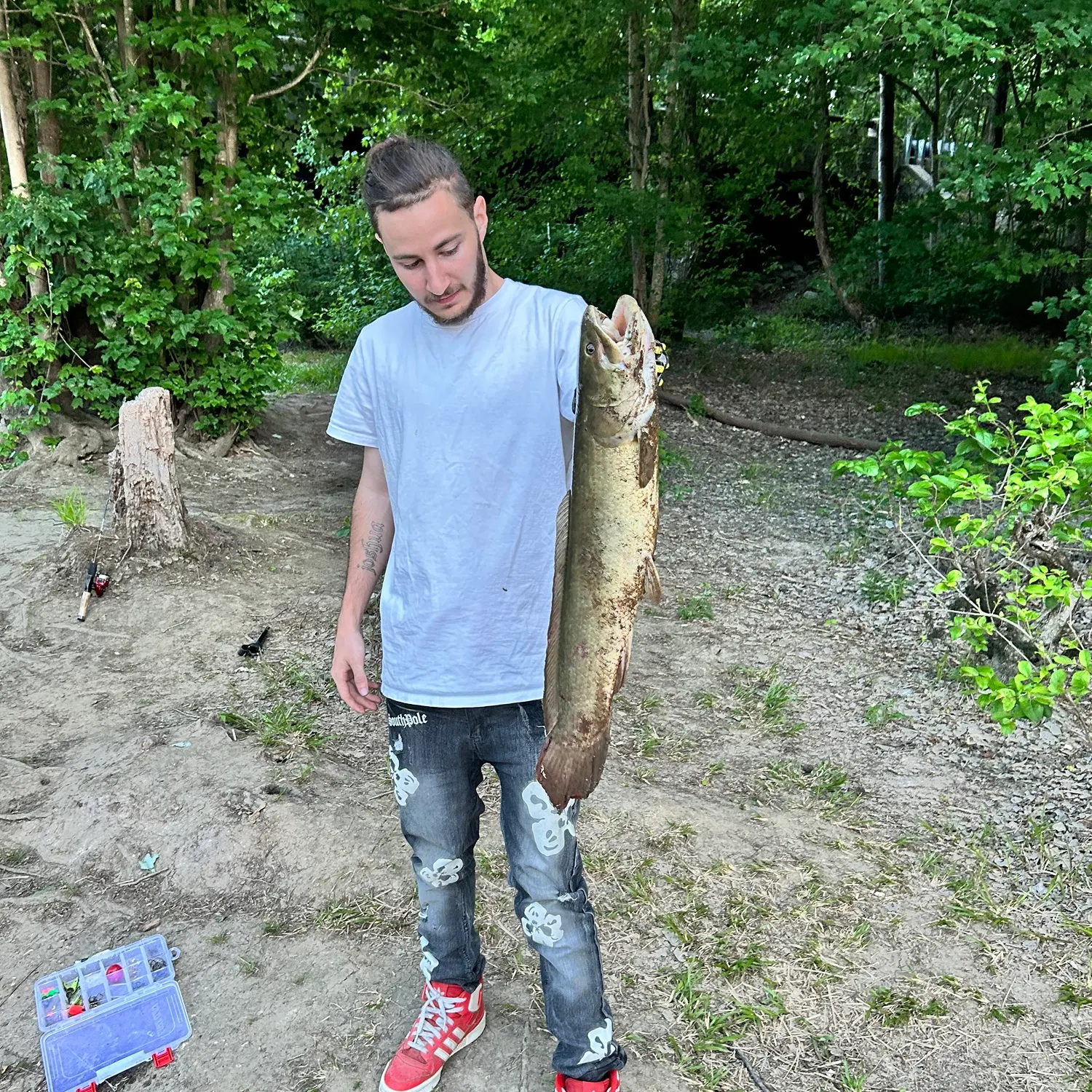 The most recent Ruddy bowfin catches on Fishbrain