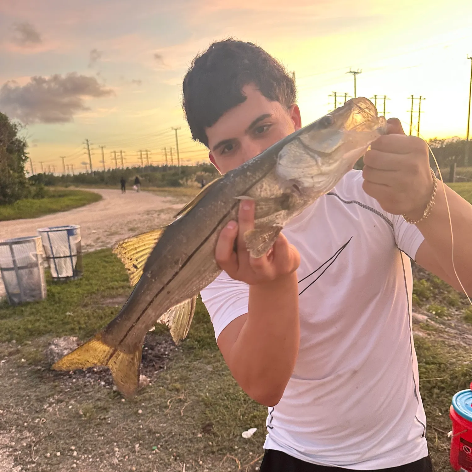 The most recent Fat snook catches on Fishbrain