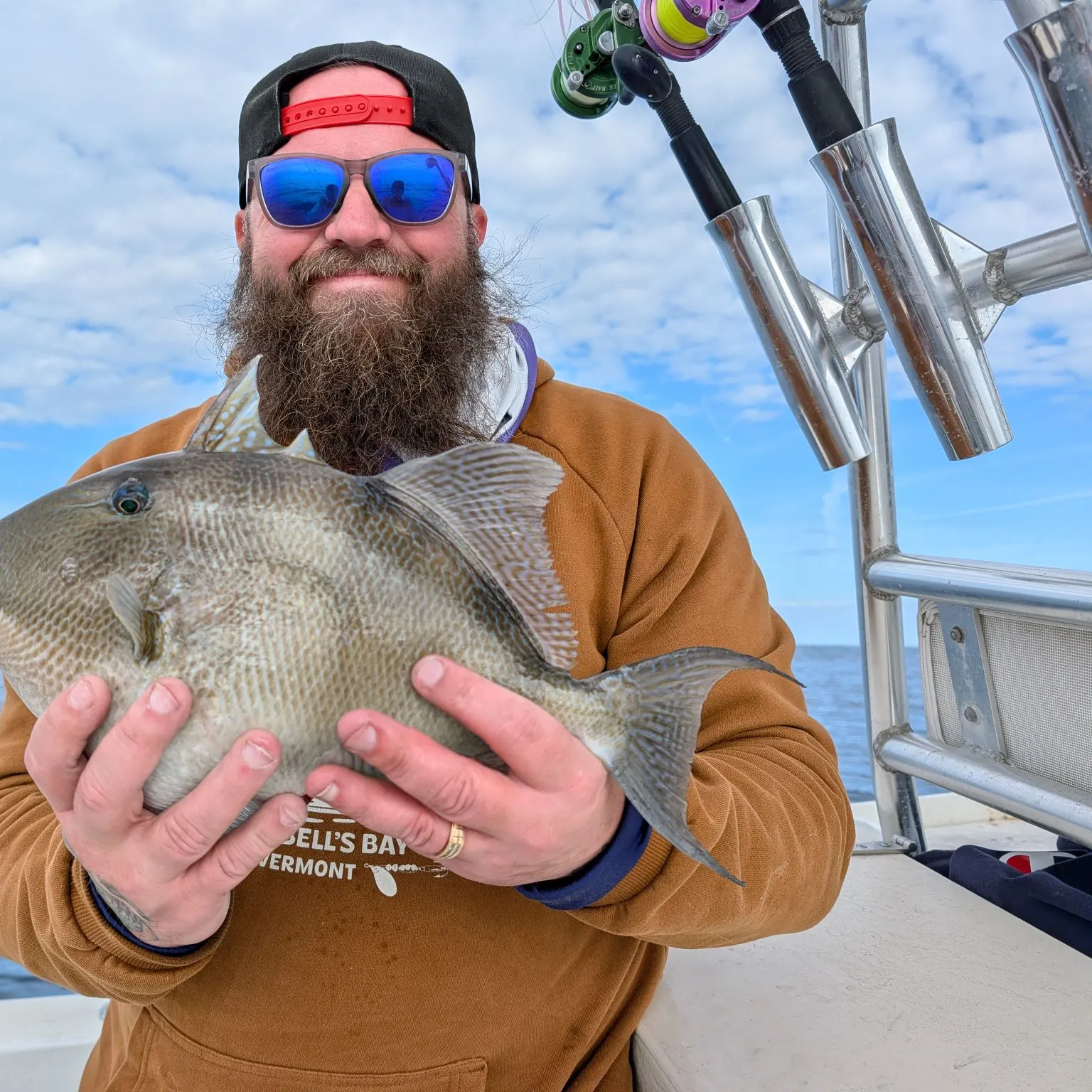 The most recent Grey triggerfish catches on Fishbrain