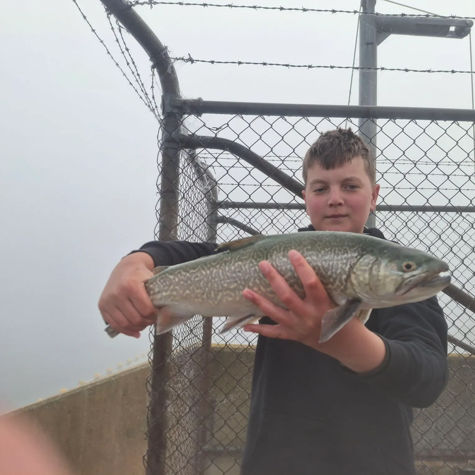 Tiger trout caught on Fishbrain