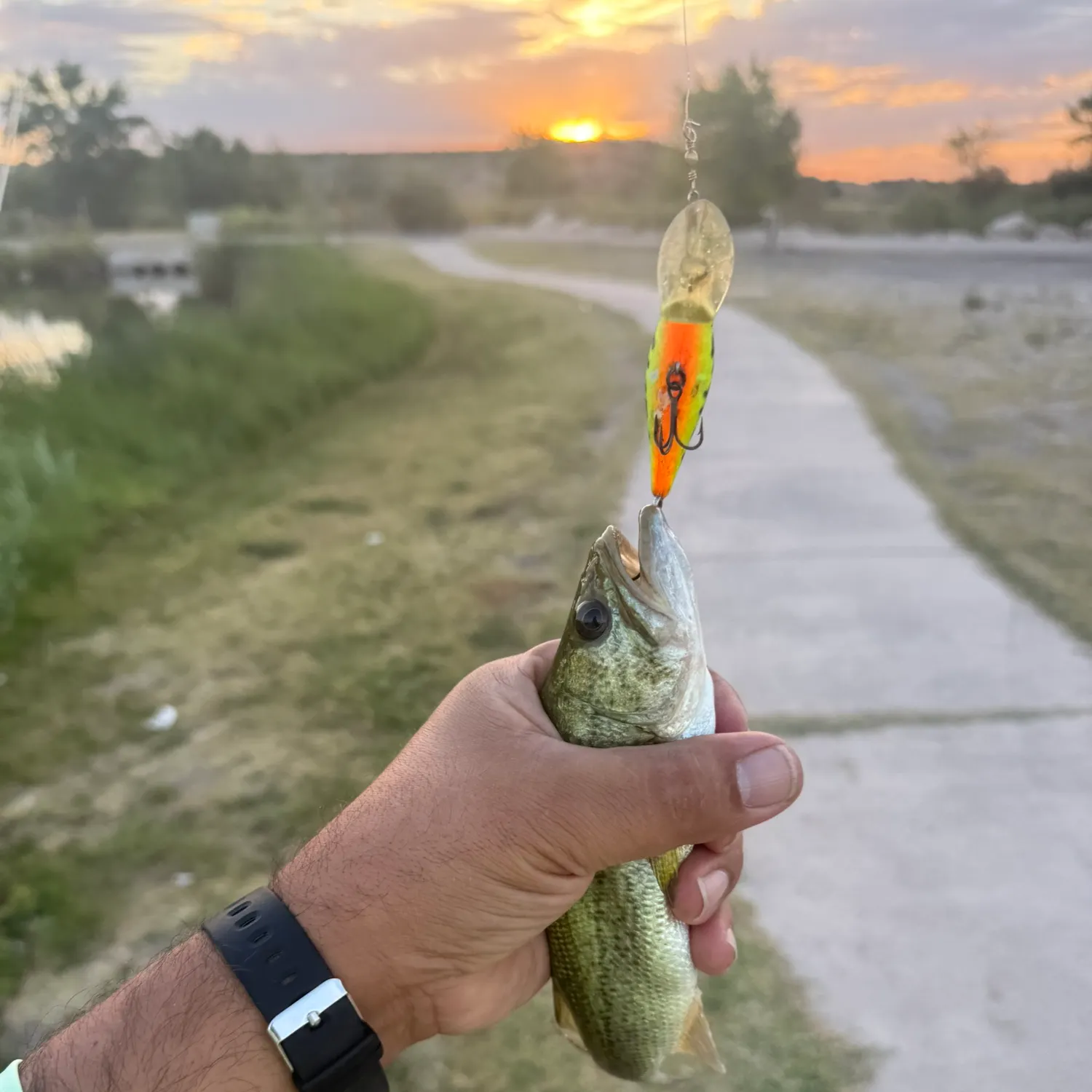 catch