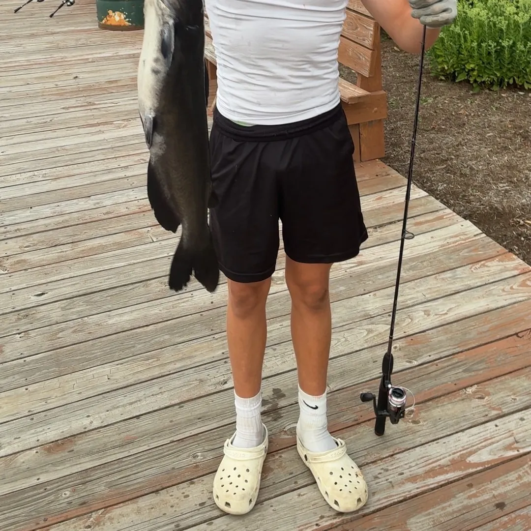 Channel catfish caught on Fishbrain
