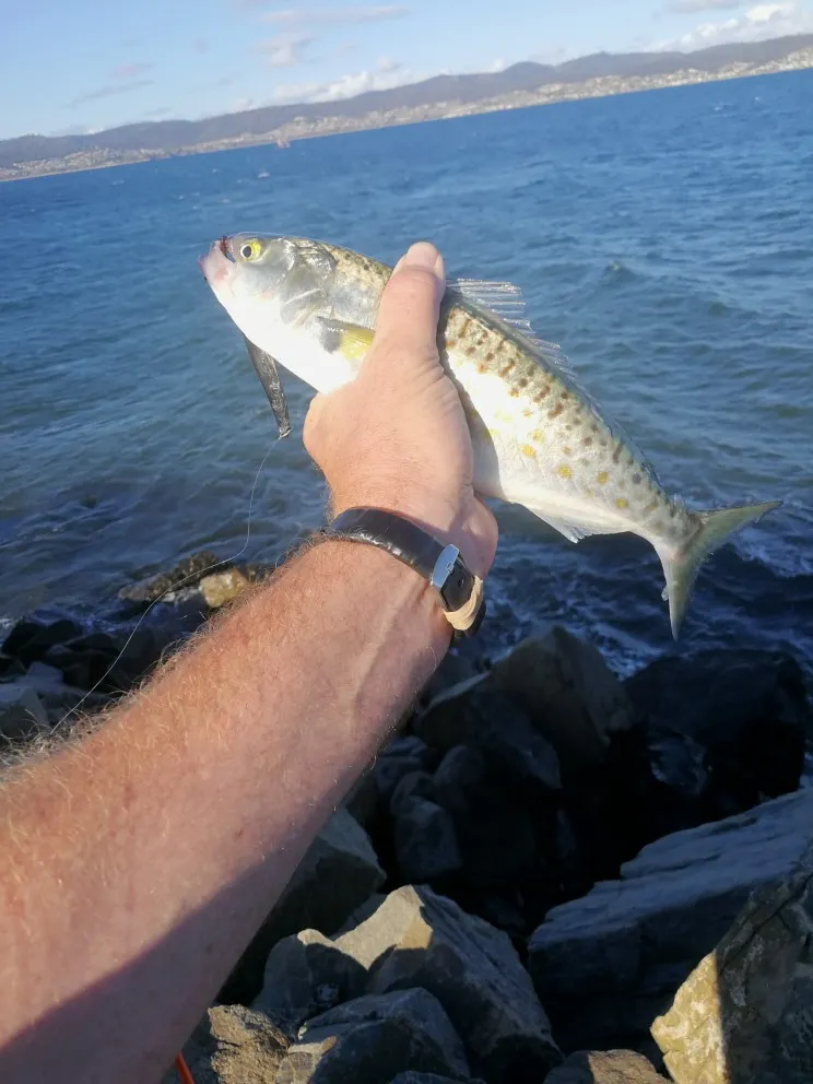 Post image from kenholloway