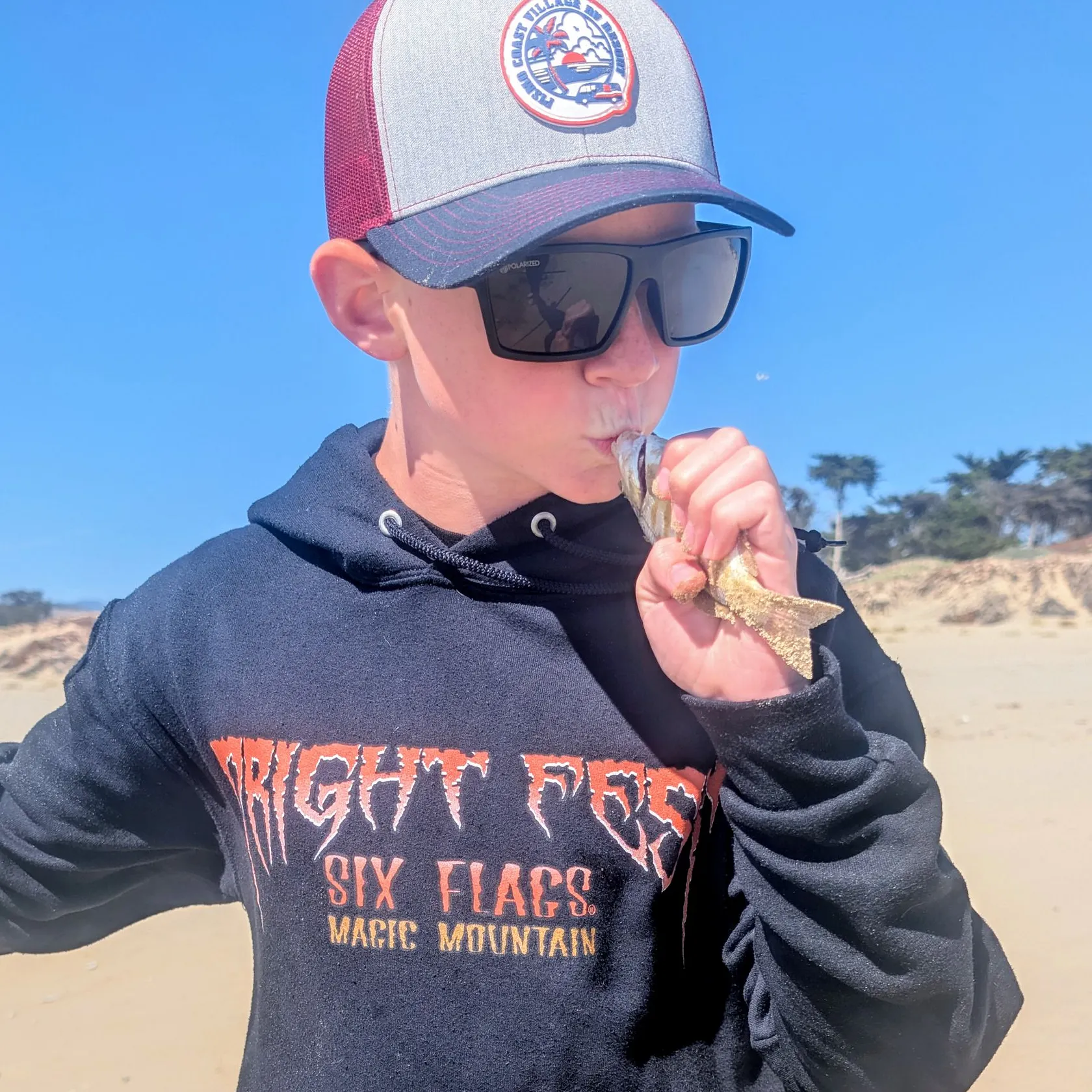 The most recent Barred surfperch catches on Fishbrain