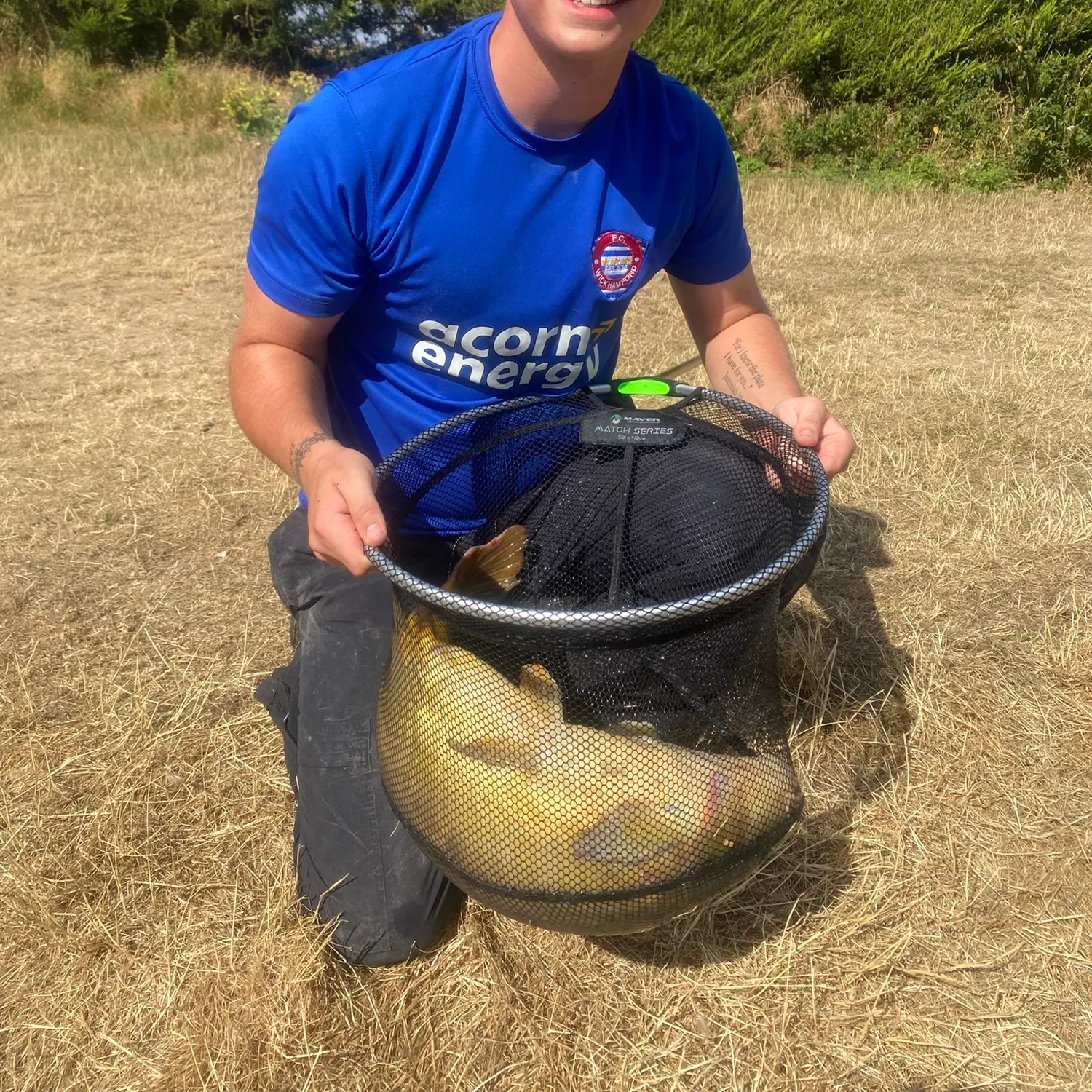Mirror carp caught on Fishbrain