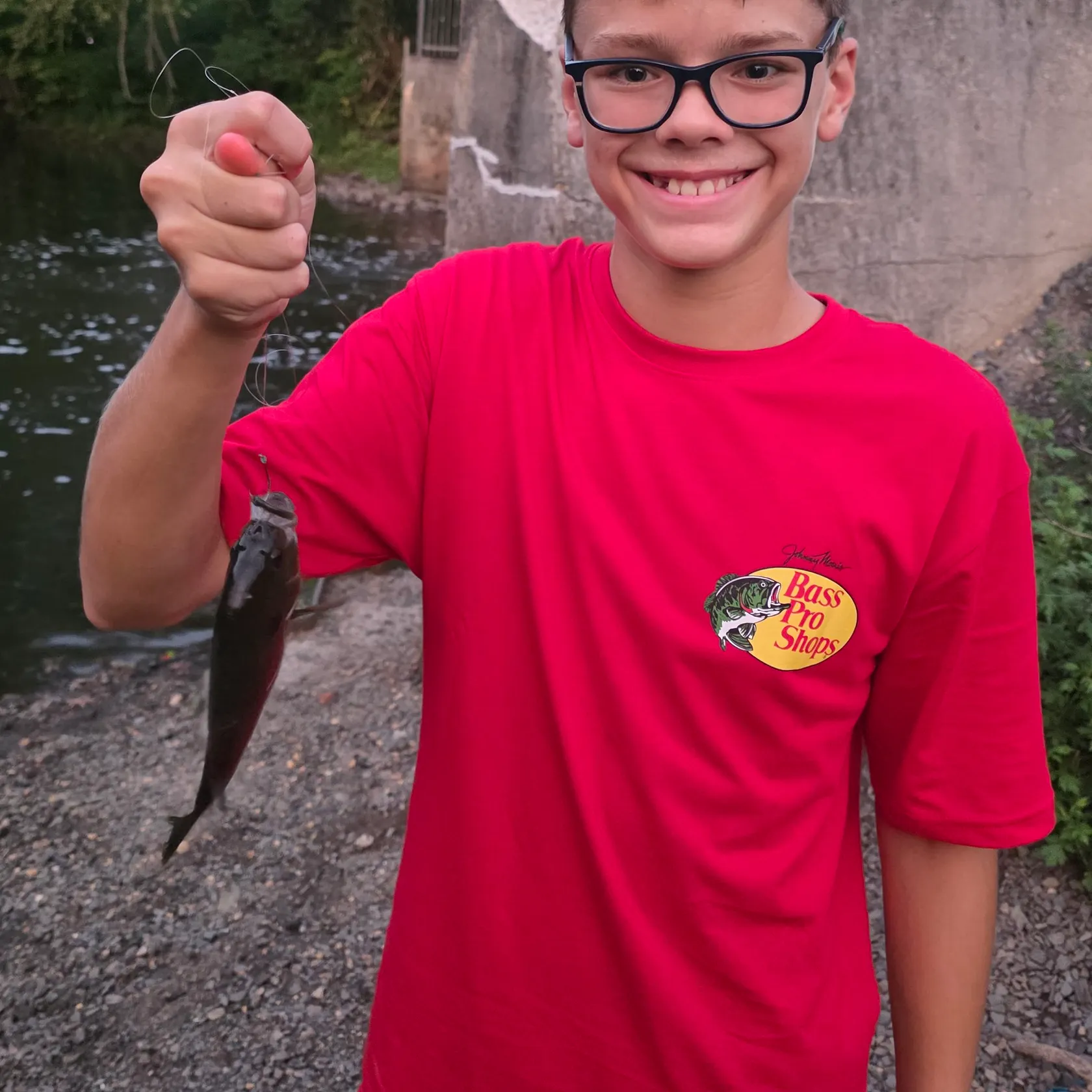 Pumpkinseed x green sunfish caught on Fishbrain