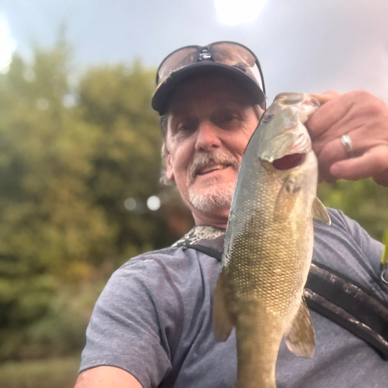 Smallmouth bass caught on Fishbrain