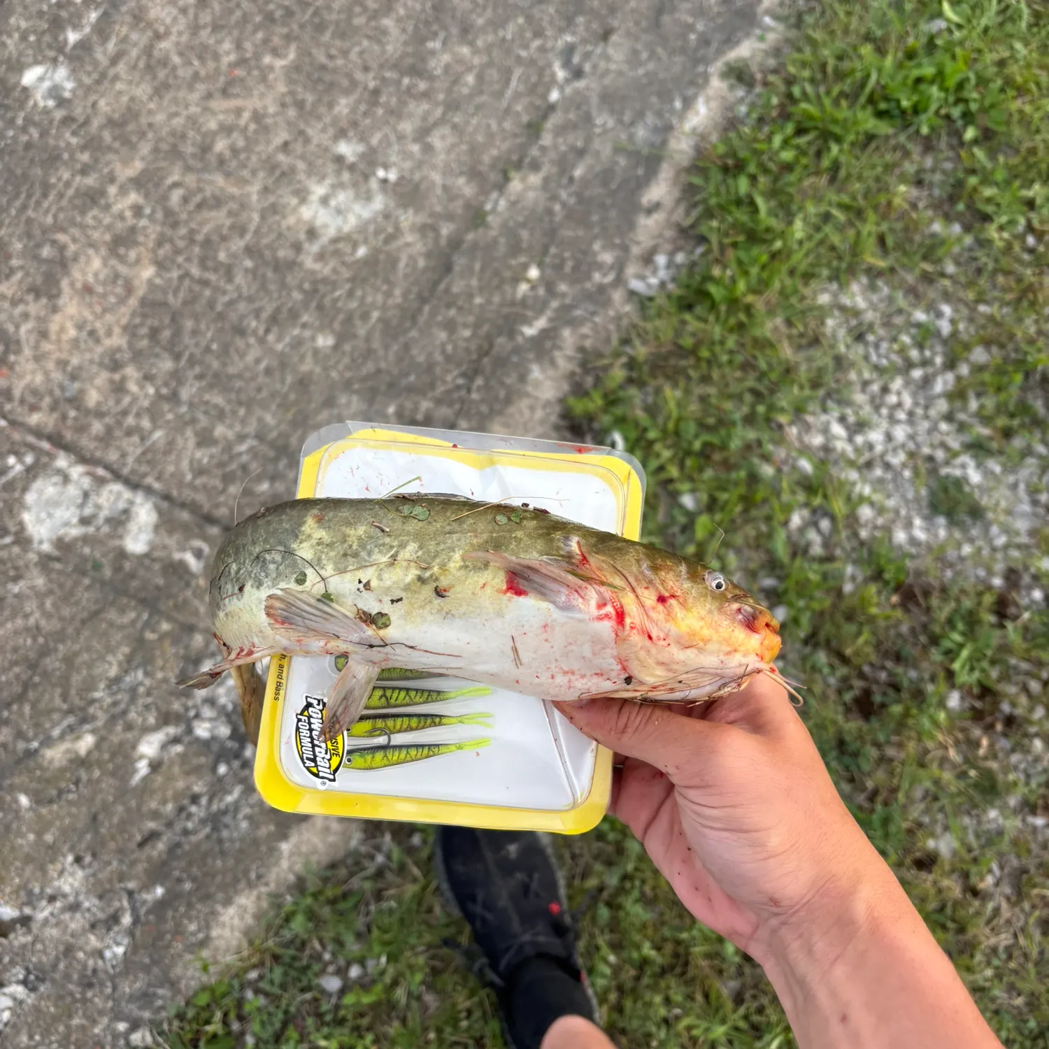 catch