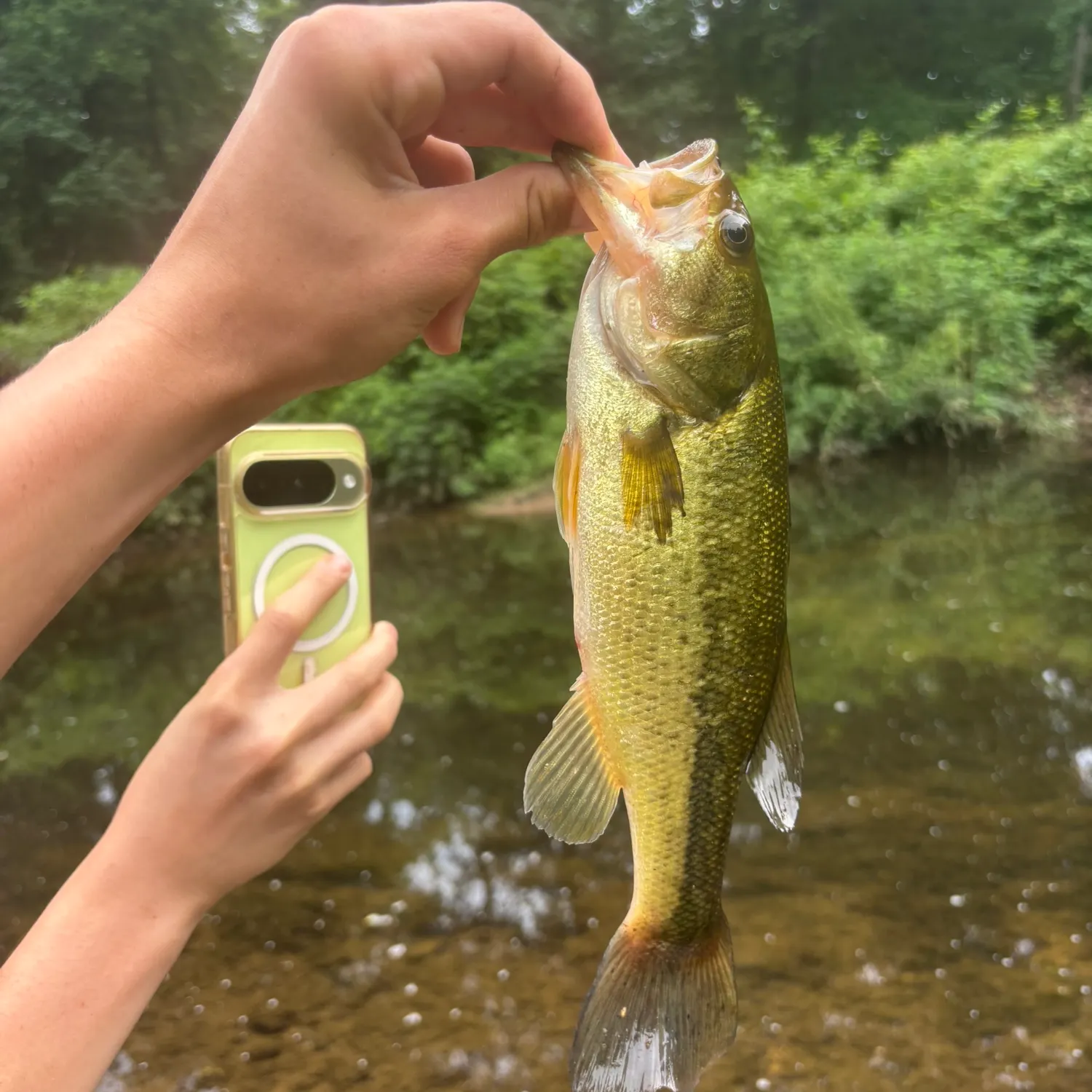 catch