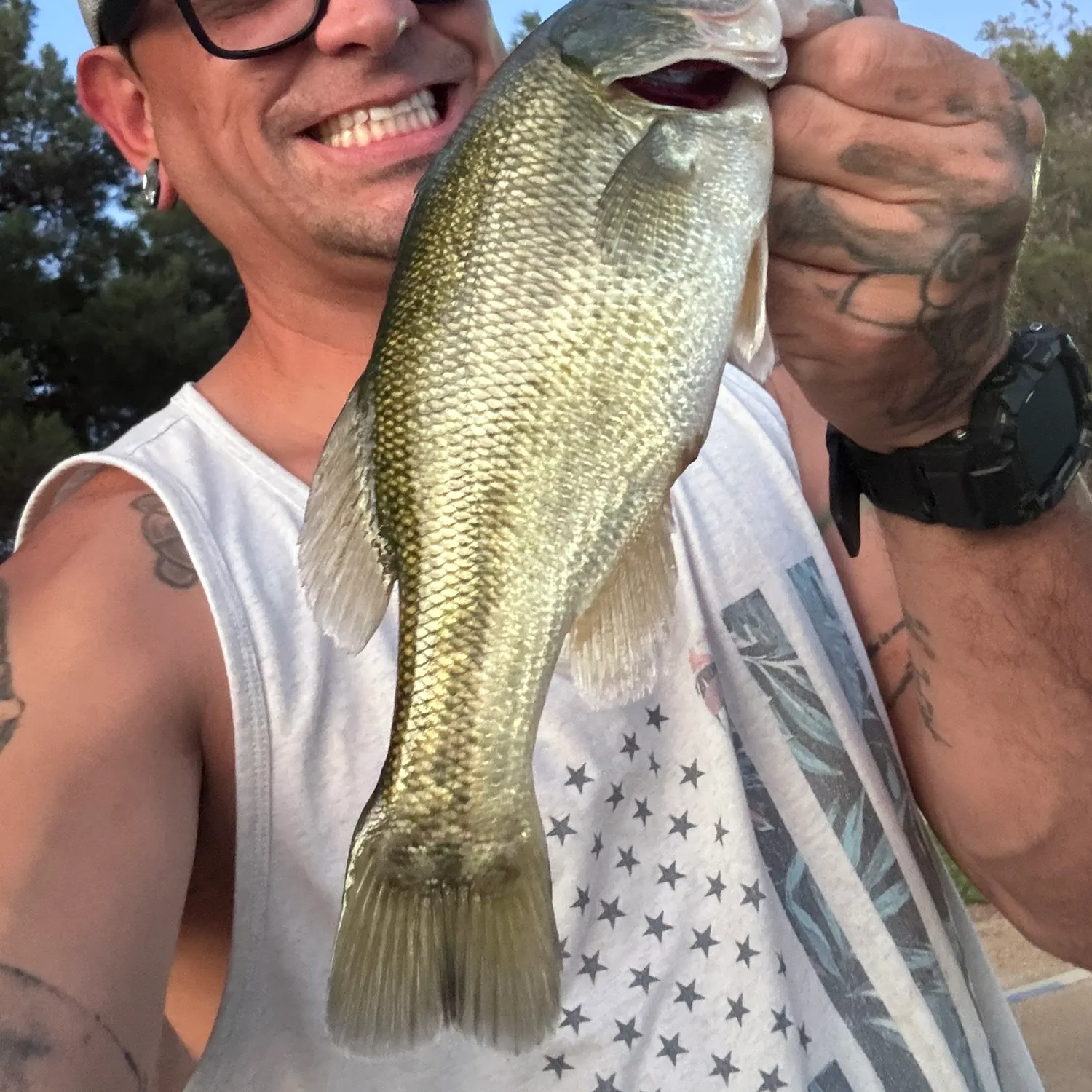 Largemouth bass caught on Fishbrain