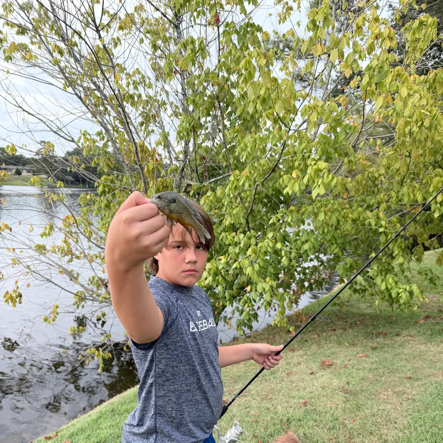 Redbreast sunfish caught on Fishbrain