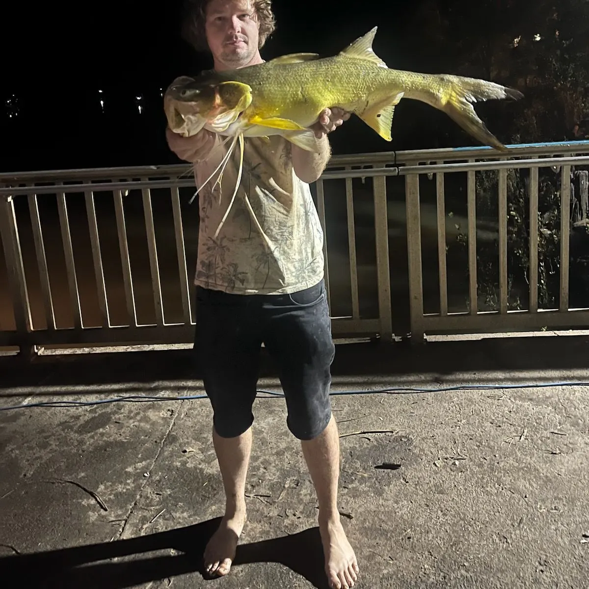 The most recent King threadfin catches on Fishbrain
