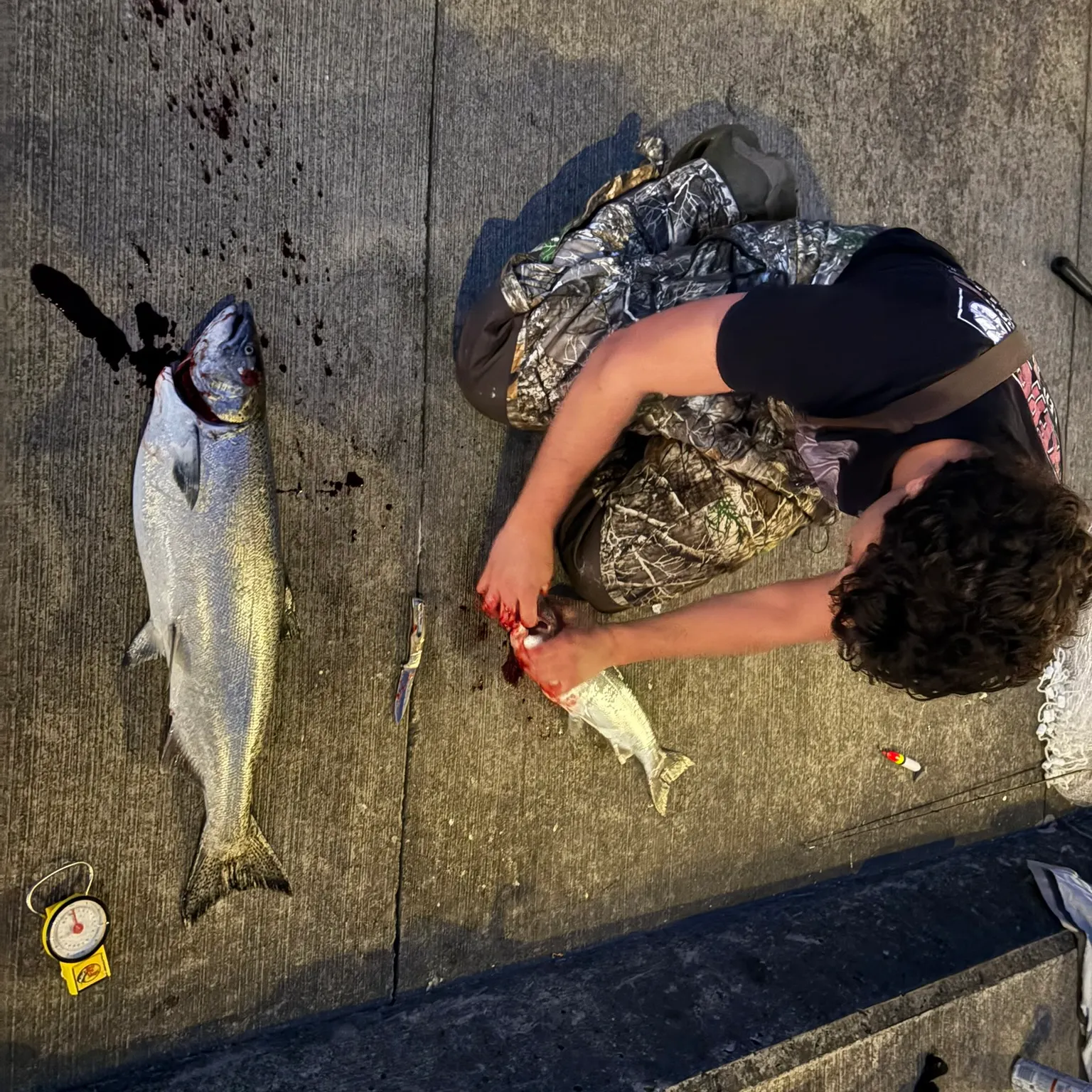 The most recent Chinook salmon catches on Fishbrain