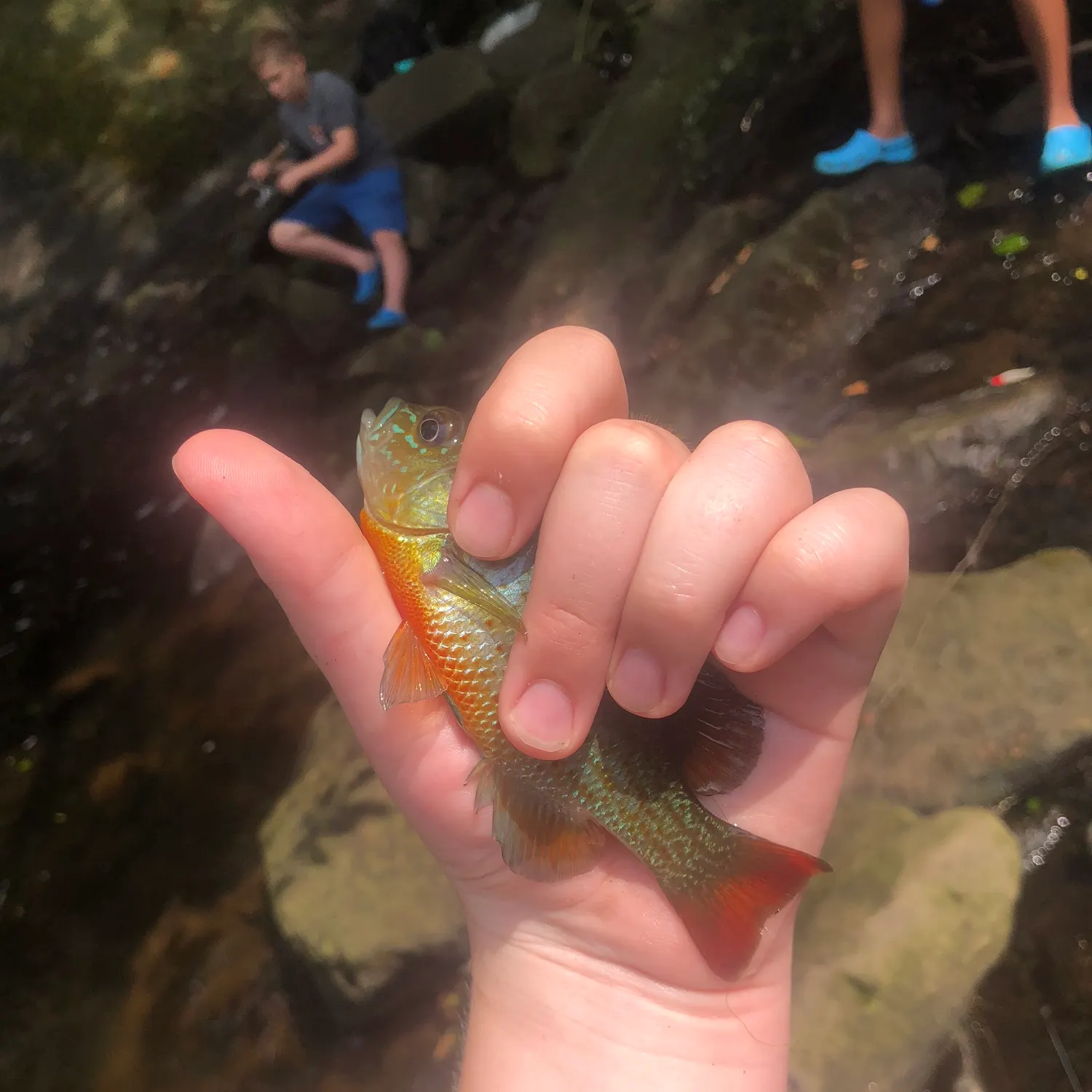 catch