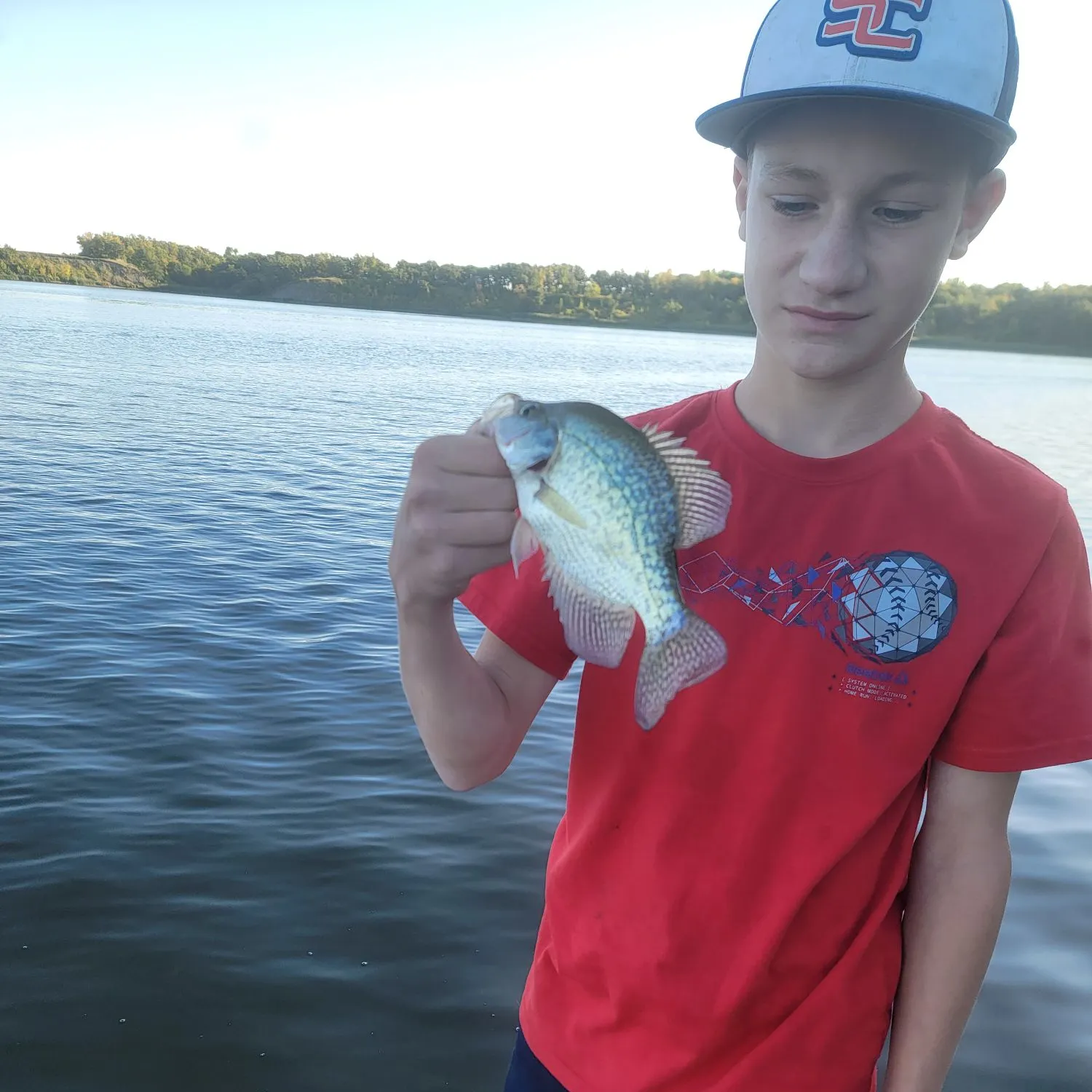 Black crappie caught on Fishbrain