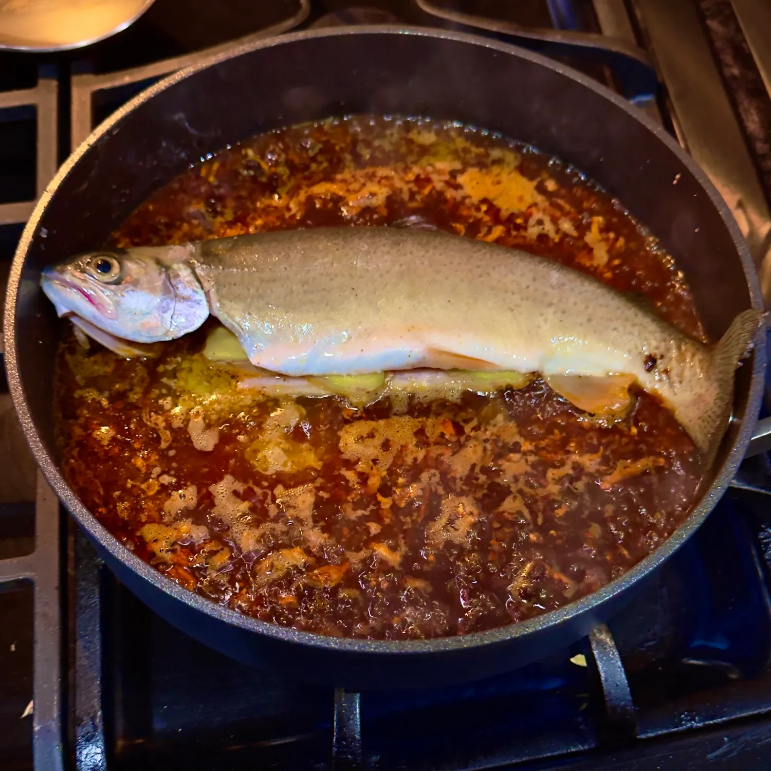 Rainbow trout caught on Fishbrain