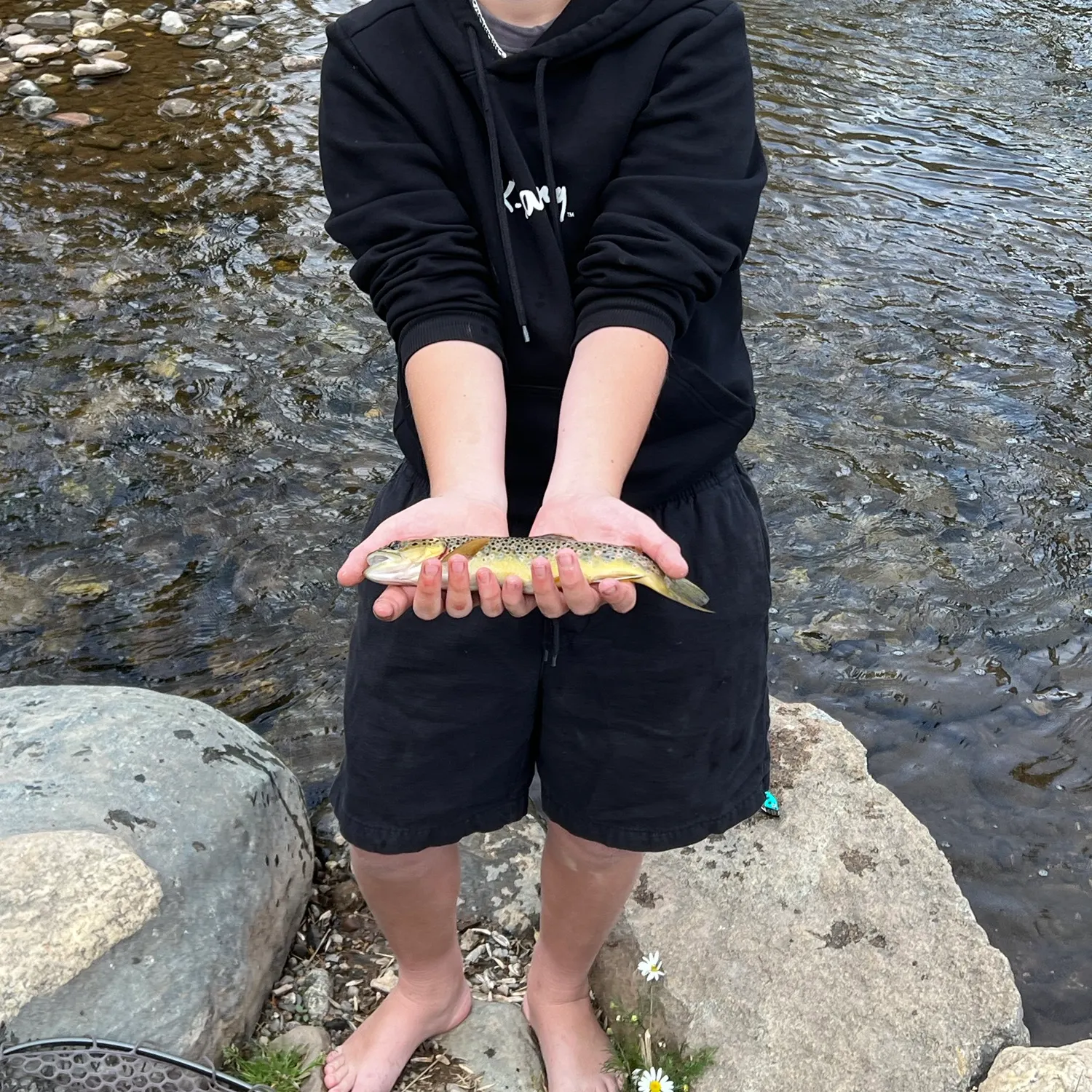 Lake trout caught on Fishbrain