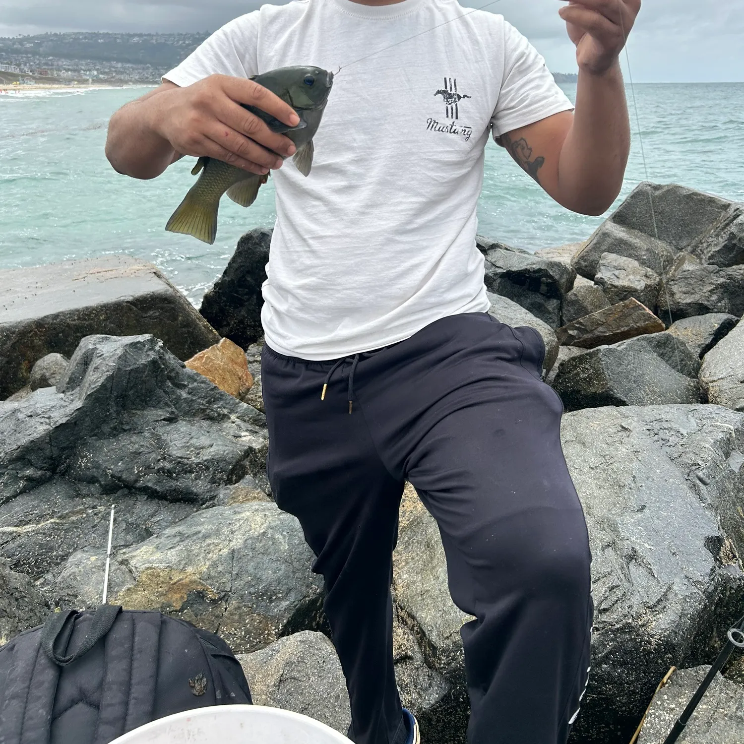 The most recent Opaleye catches on Fishbrain