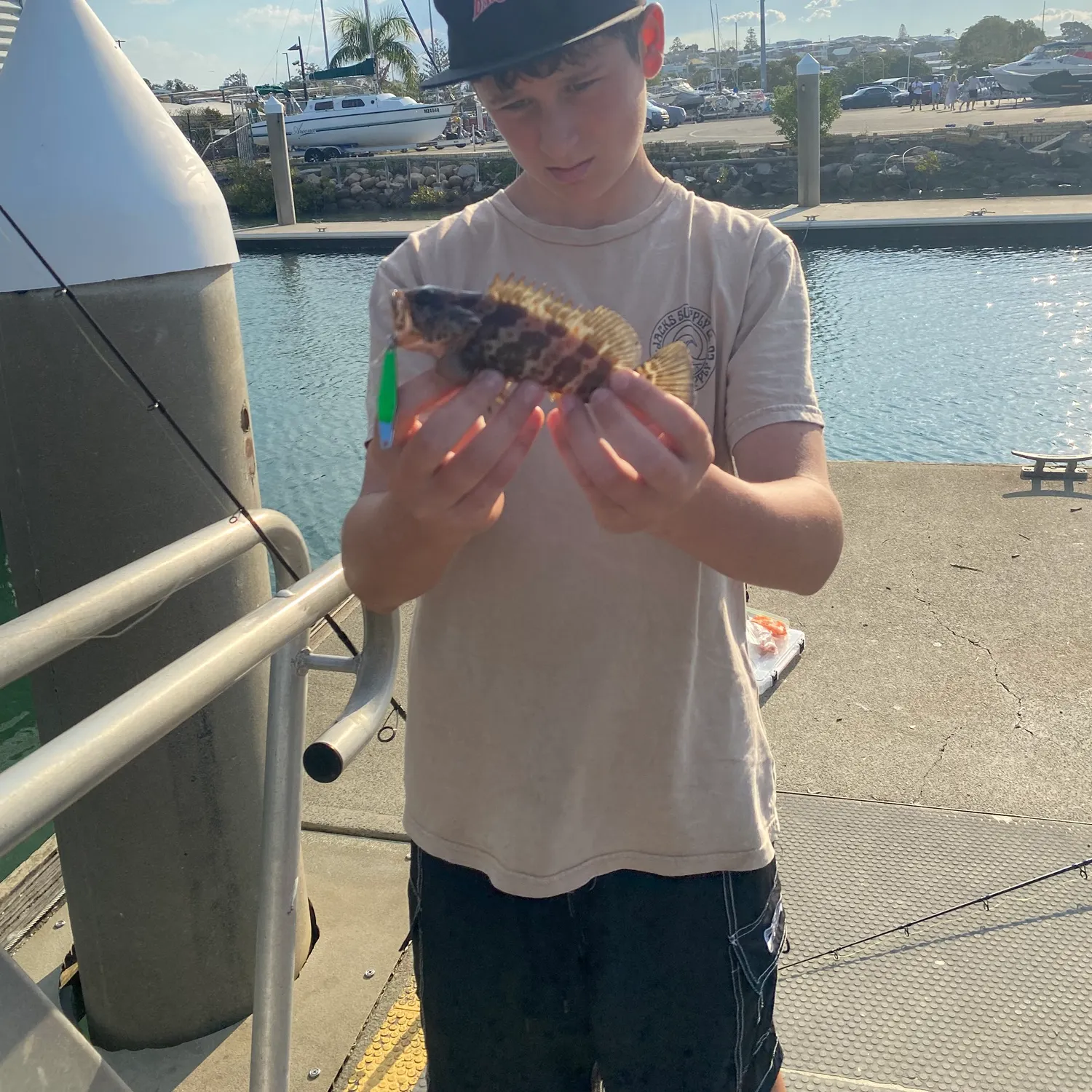Orange-spotted grouper caught on Fishbrain