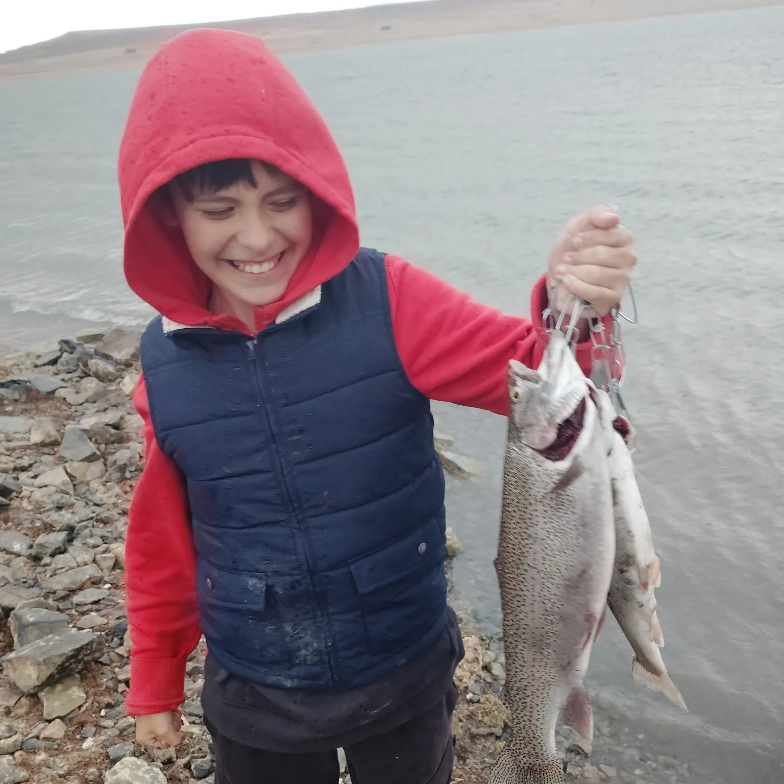 Rainbow trout caught on Fishbrain